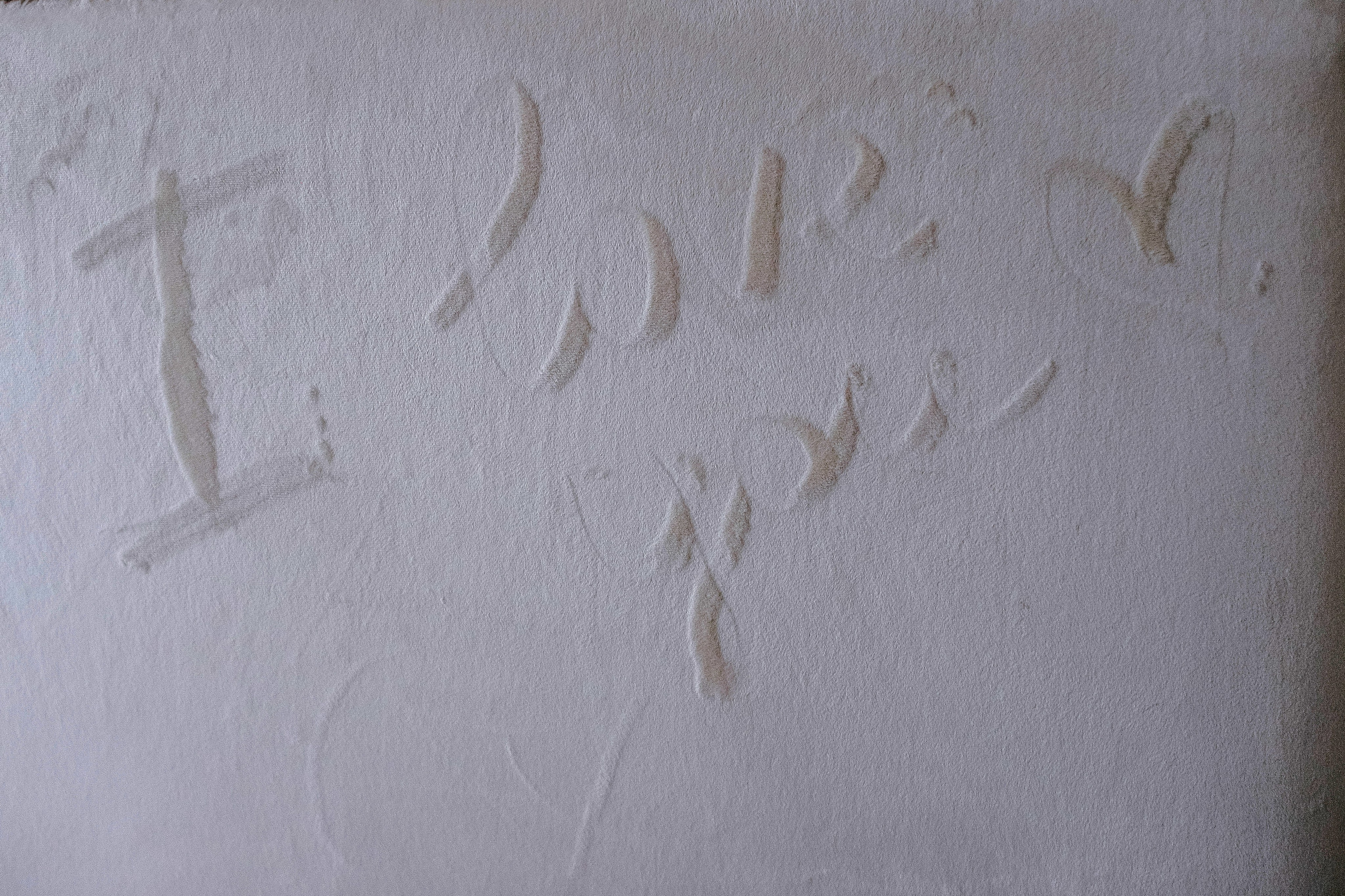 На уровне облаков. Свадебный и семейный фотограф в Балашихе и в Москве