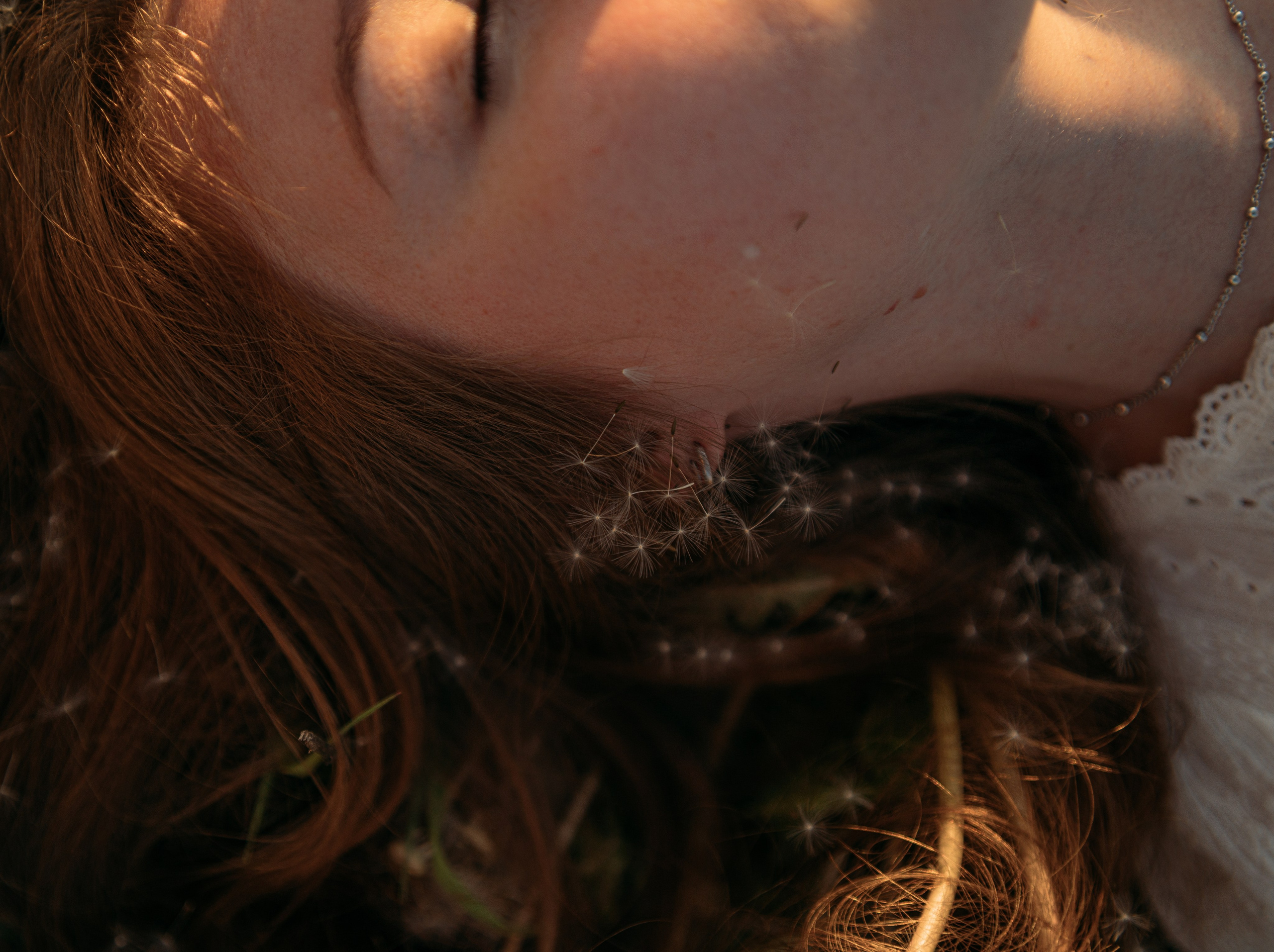 Одуванчики…. FotoTanya. Раменское/Жуковский/Бронницы