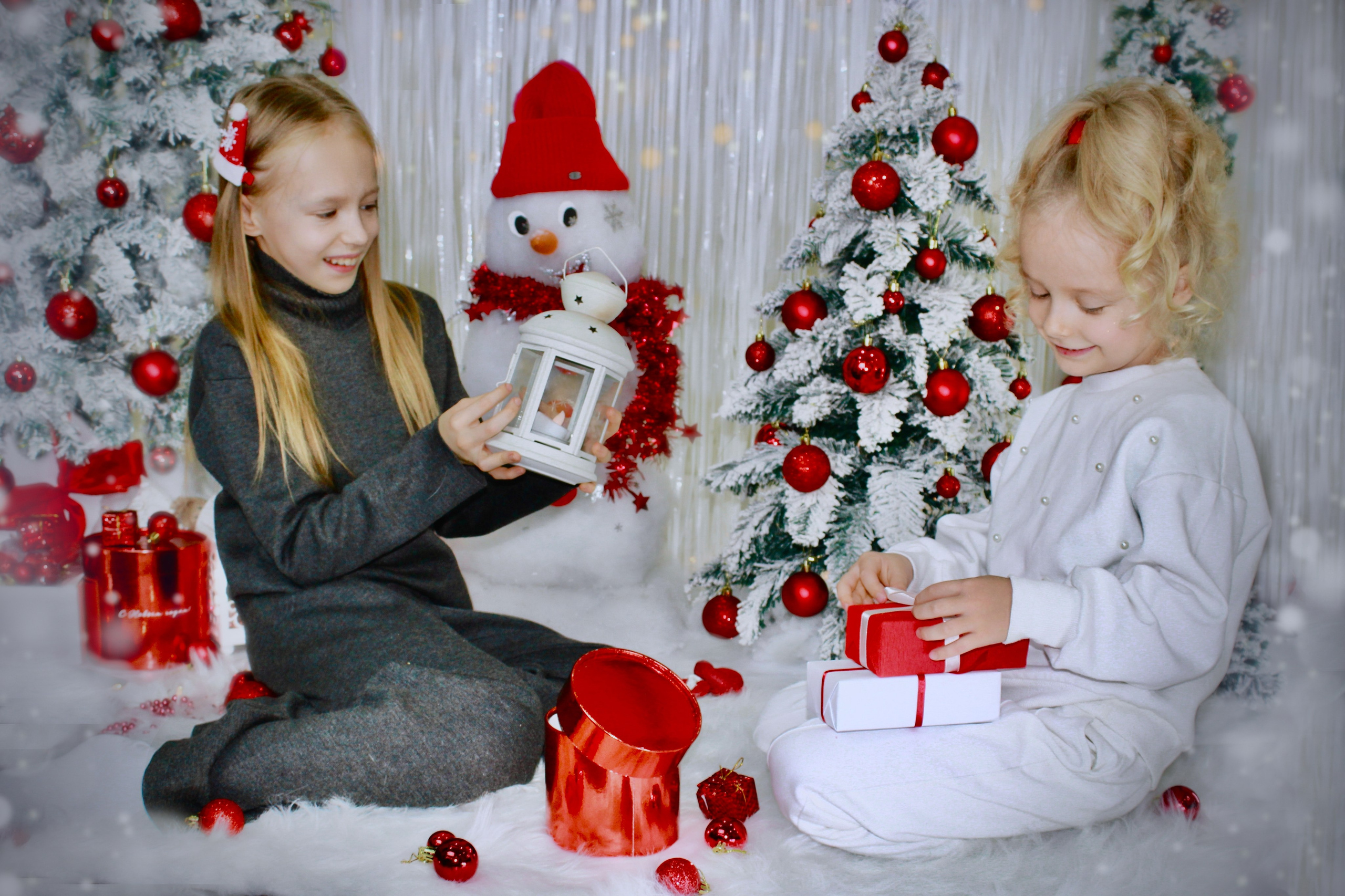 Скоро Новый Год. Портфолио