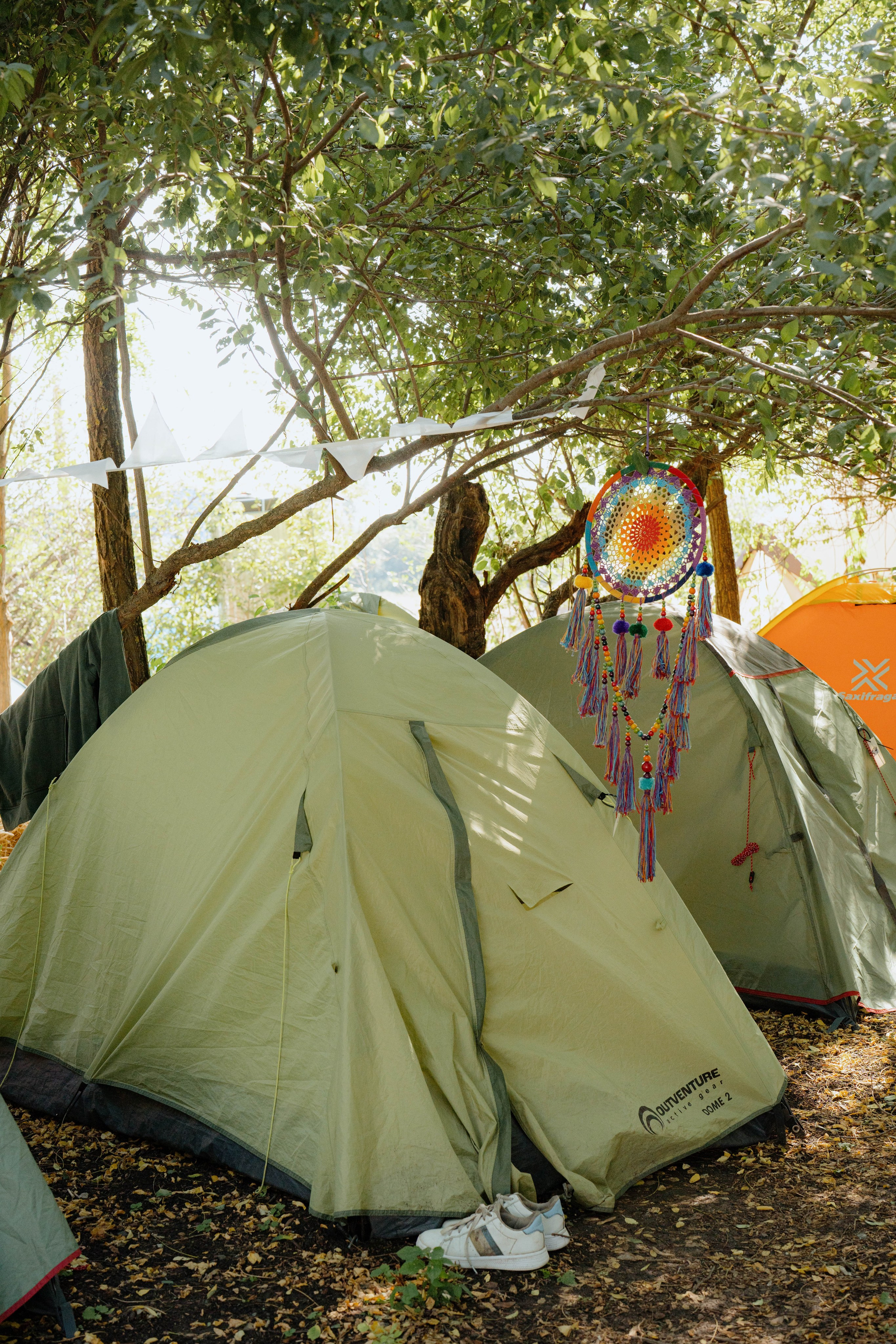 ASS FAMILY | СОН В ДЕРЕВНЕ | АВИАРЕЖИМ 8.0