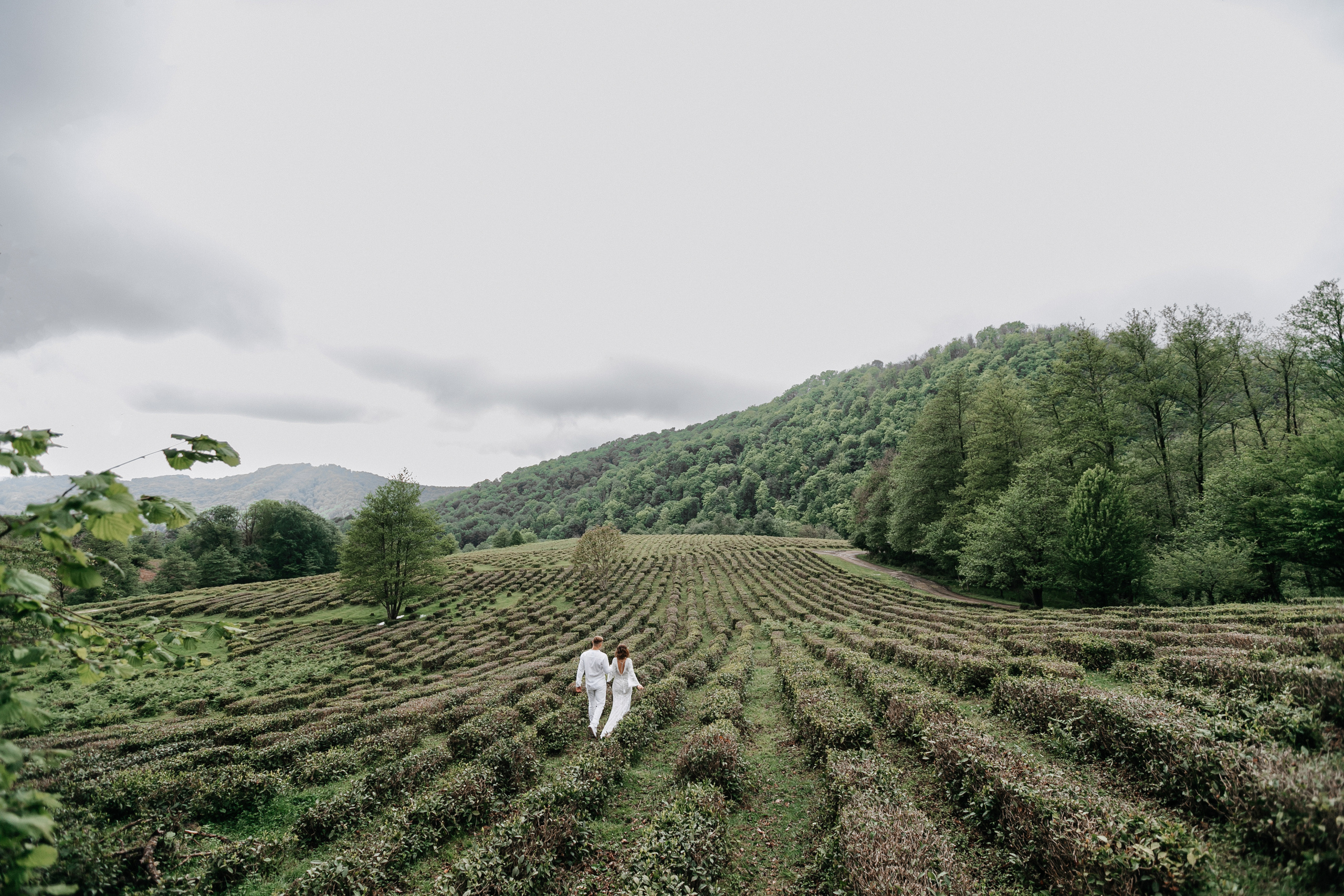 Настя и Олег. Свадебный фотограф и видеограф Когай Дмитрий и Юлия