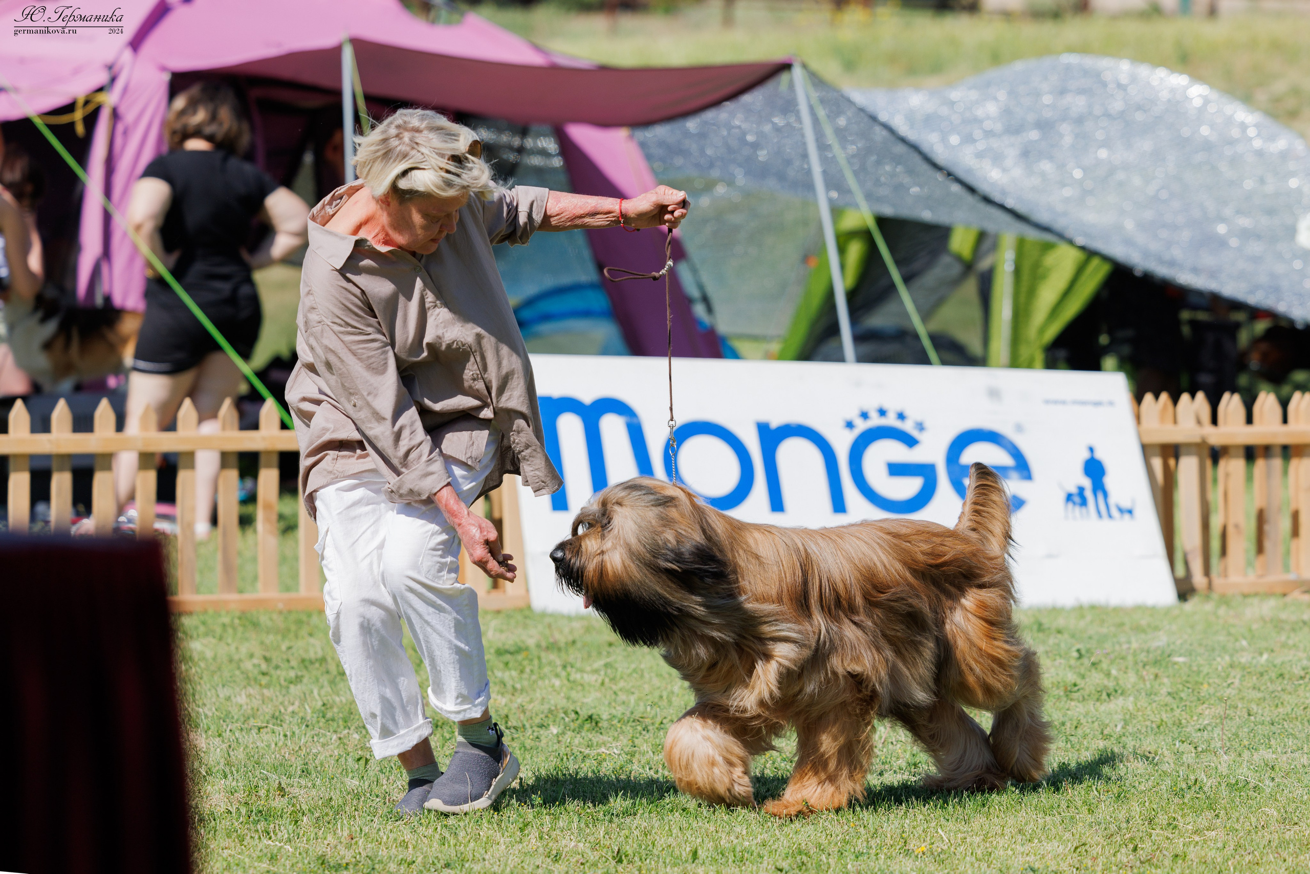 Ереван 3-5.06.2024. Фотограф-анималист Юлия Германика