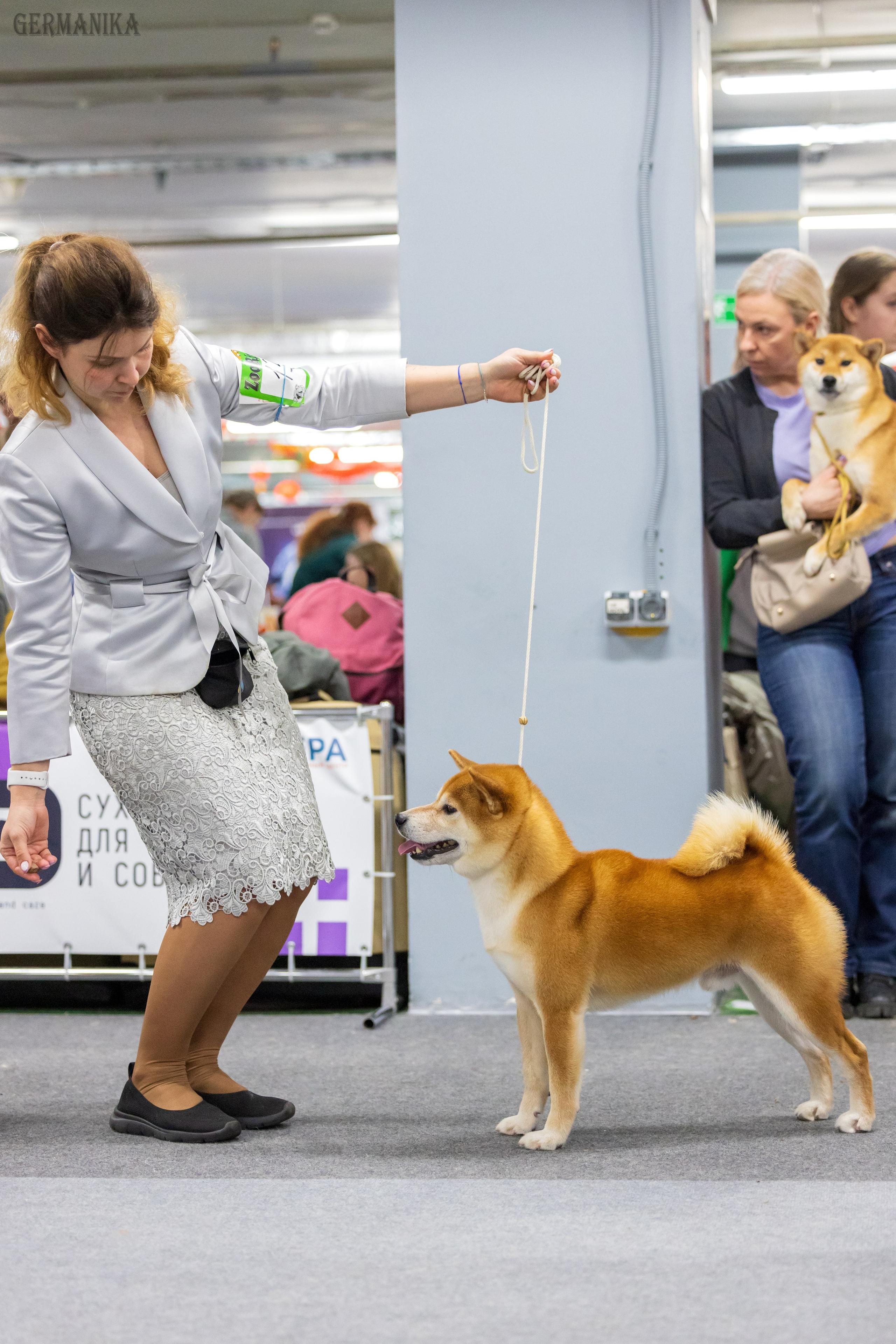 Крокус 10.02,Сфера 11.02.2024. Фотограф-анималист Юлия Германика