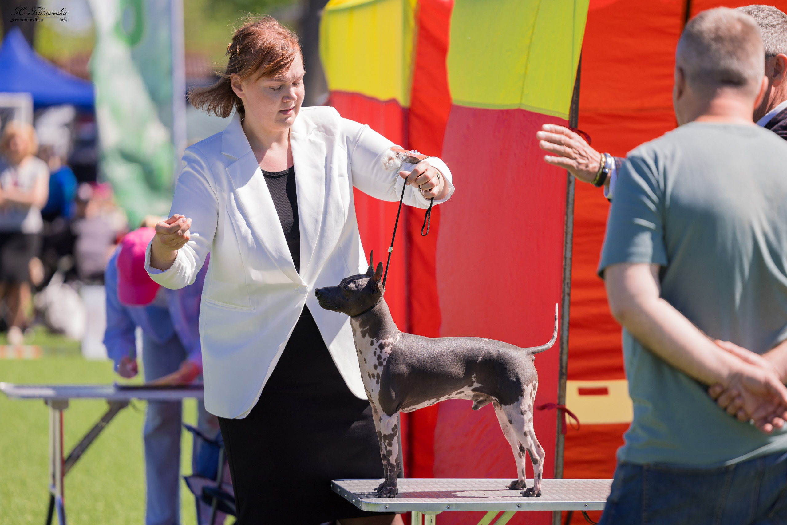 Суздаль 18-19.05.2024. Фотограф-анималист Юлия Германика