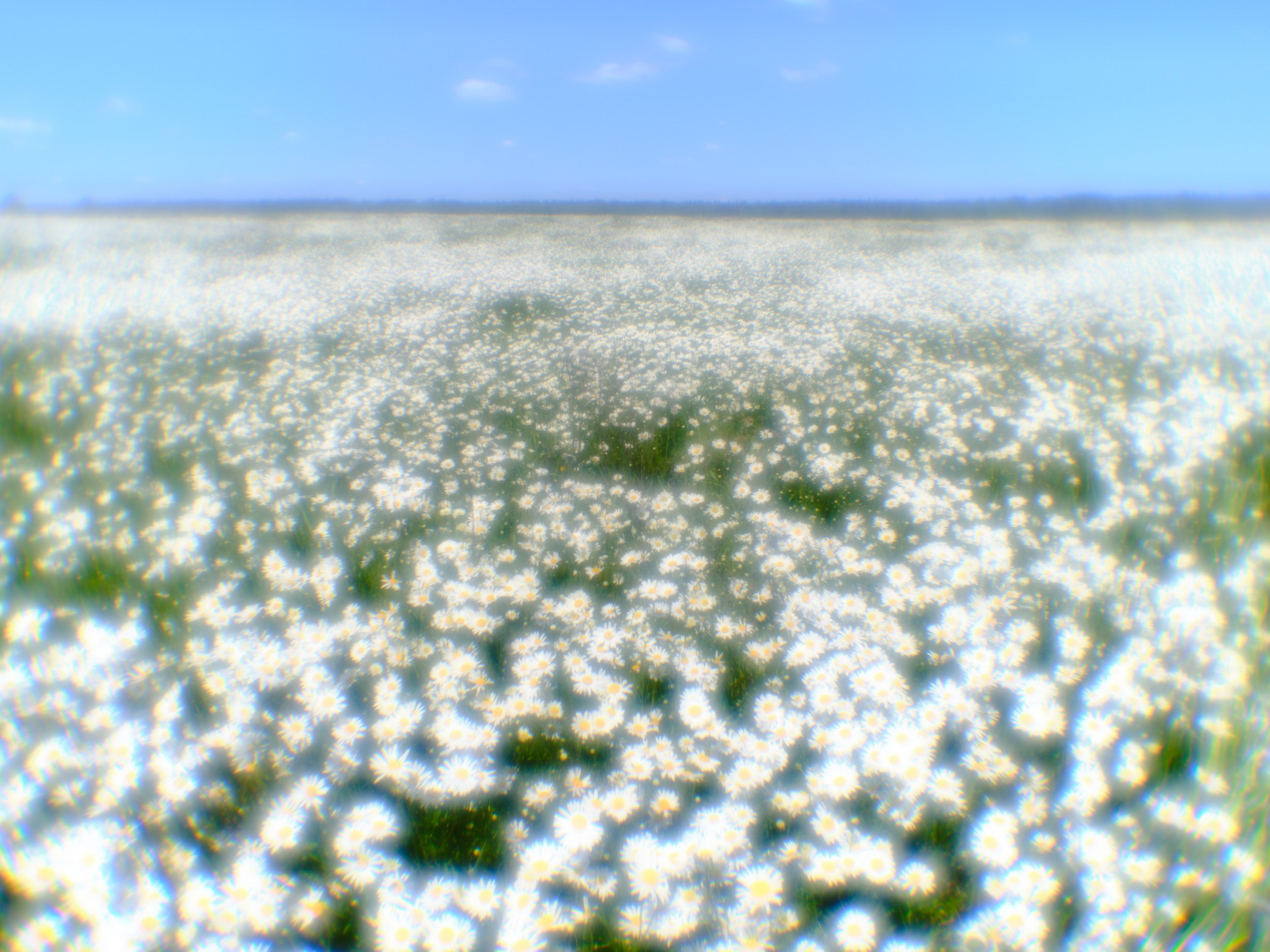 Фотограф Юлия Глазкова