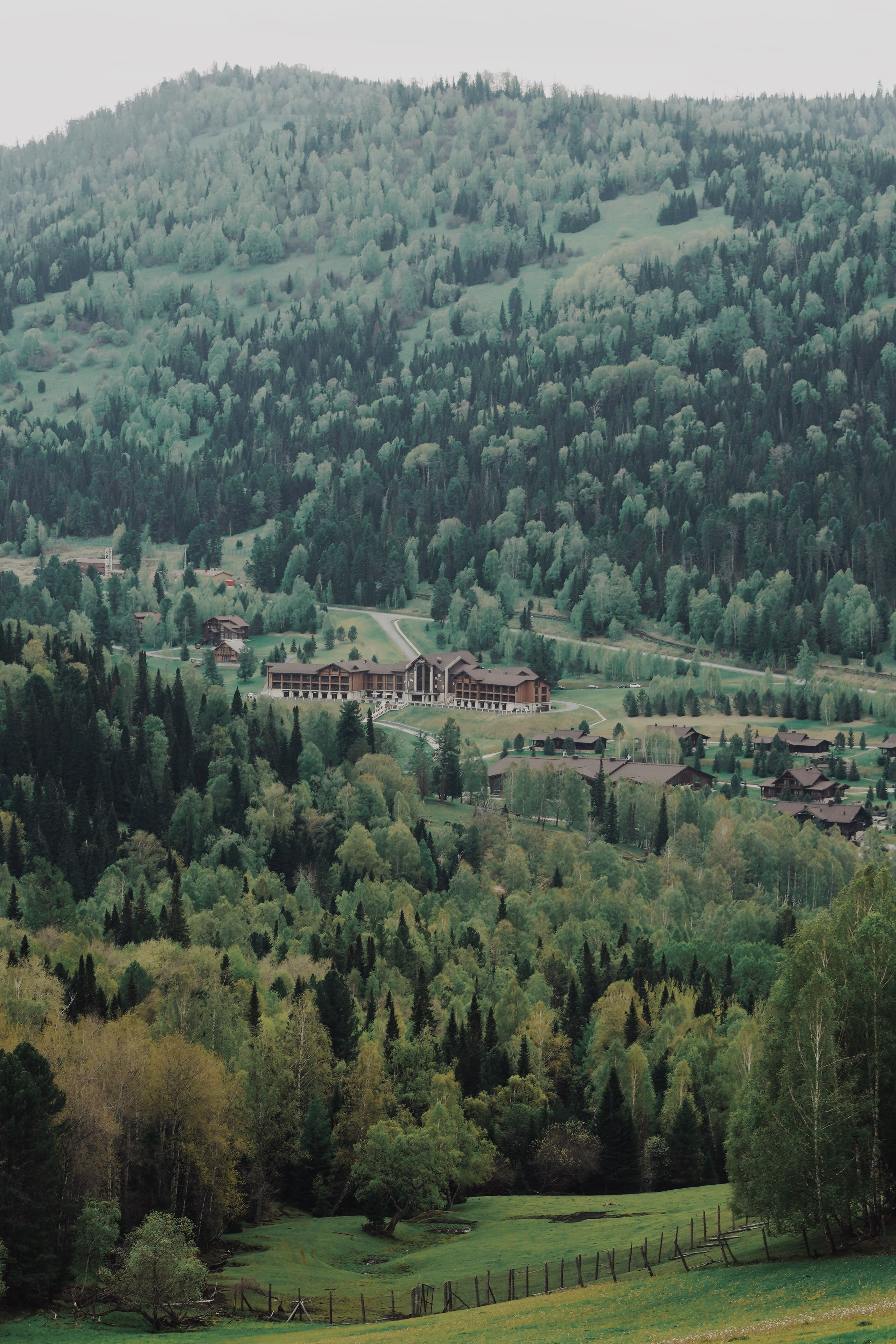 На конной прогулке по Алтаю. Выездной фотограф-видеограф в Республике Алтай Солоны Куюкова