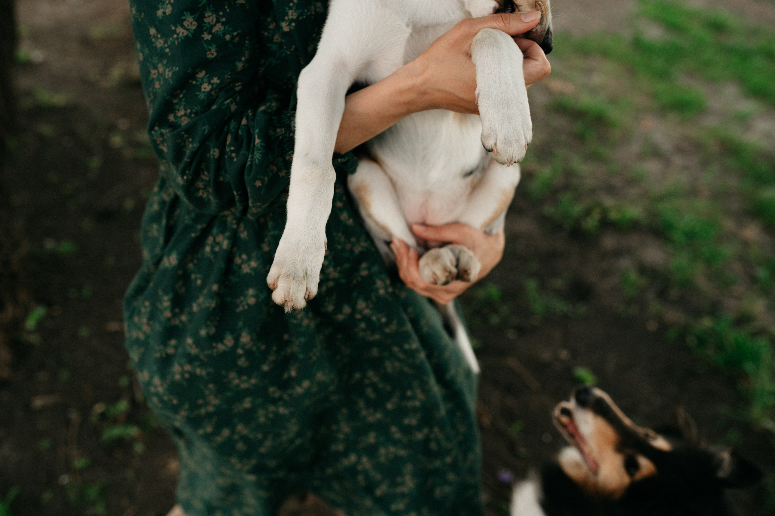 Таня и её пушистые друзья. Фотограф анималист в Москве Ольга Агушева