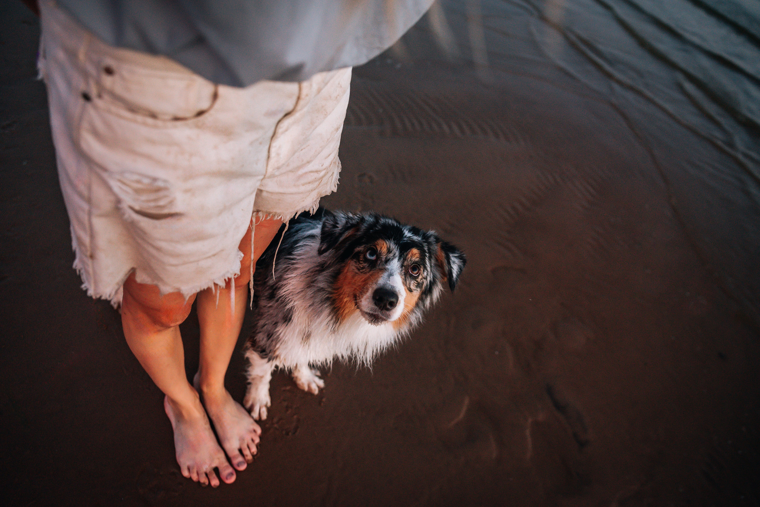 No Bad Days. Главная