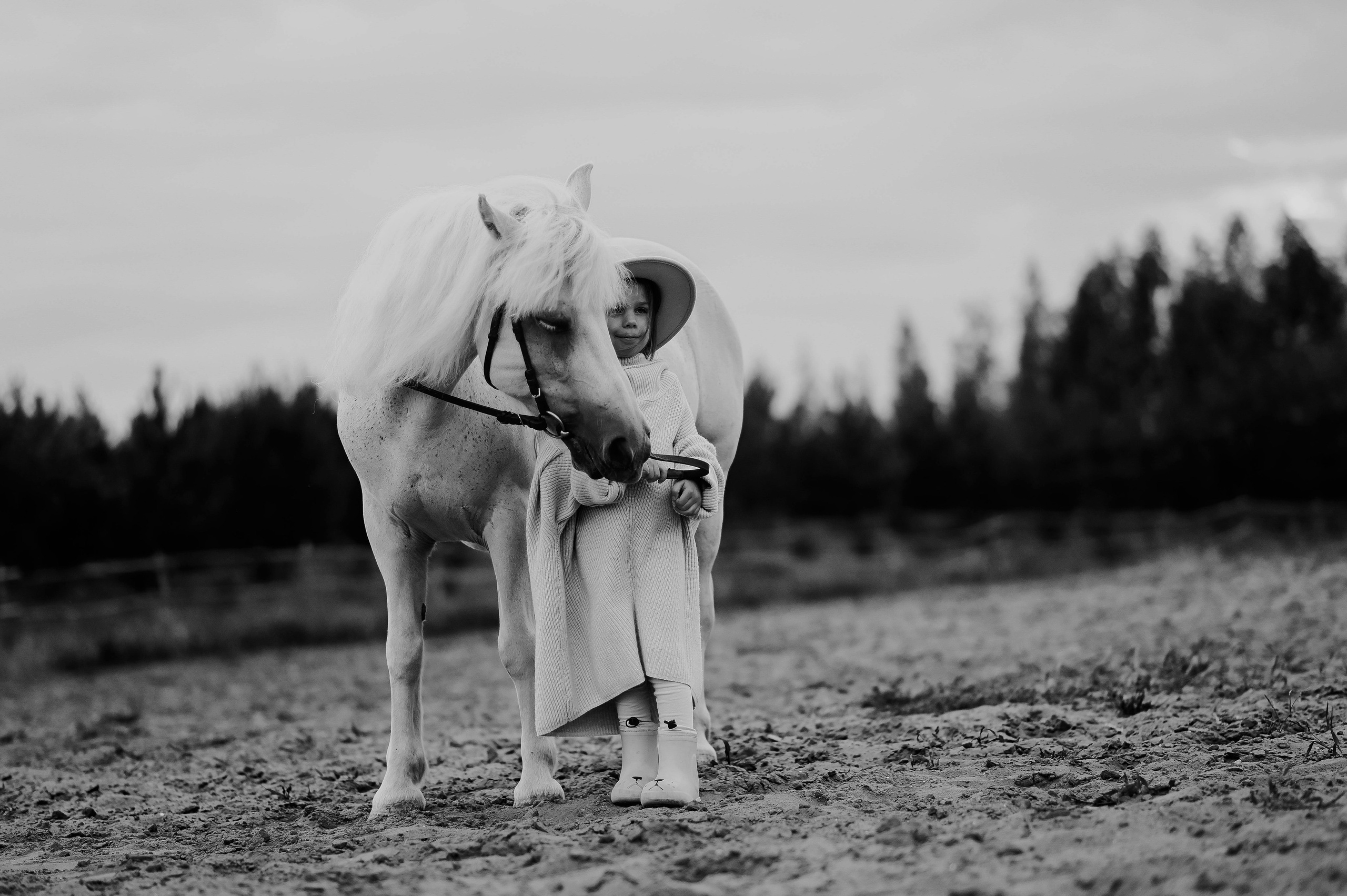 София. Фотограф Казань