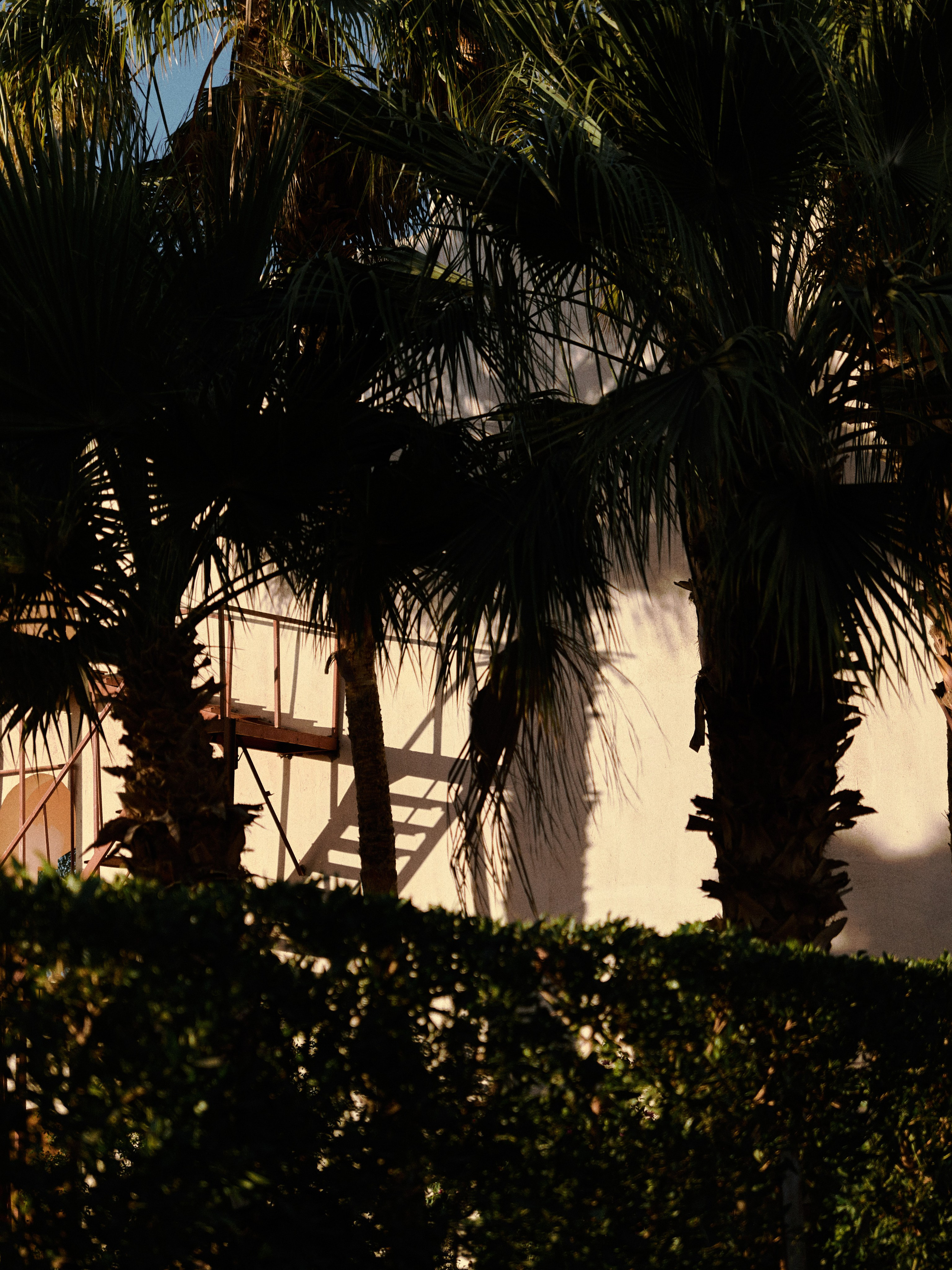 Природа сквозь. Jorgis Talè — photographer, kind person, teacher of arts and other mag