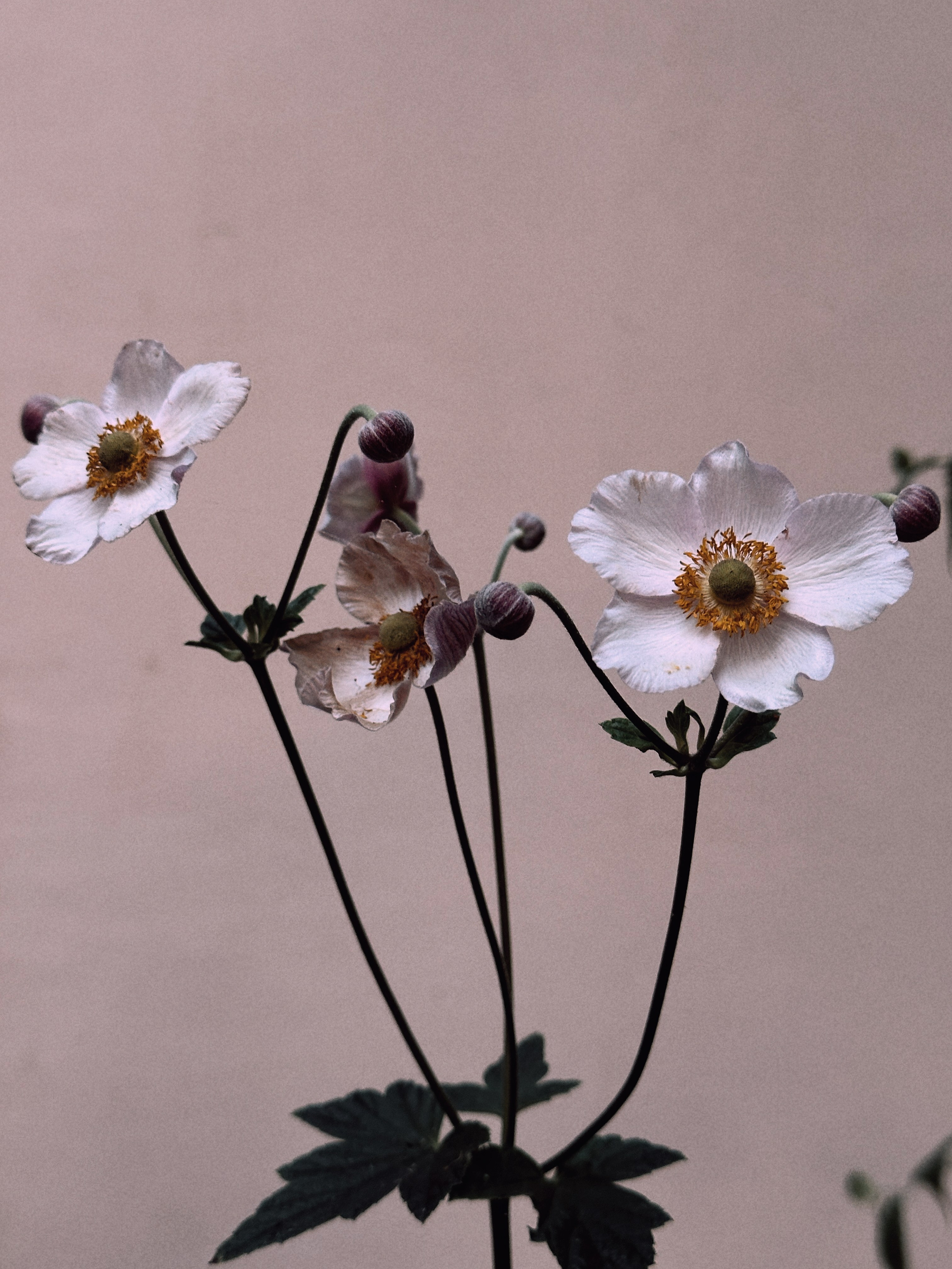 Флора и фауна. Смотри, красота!