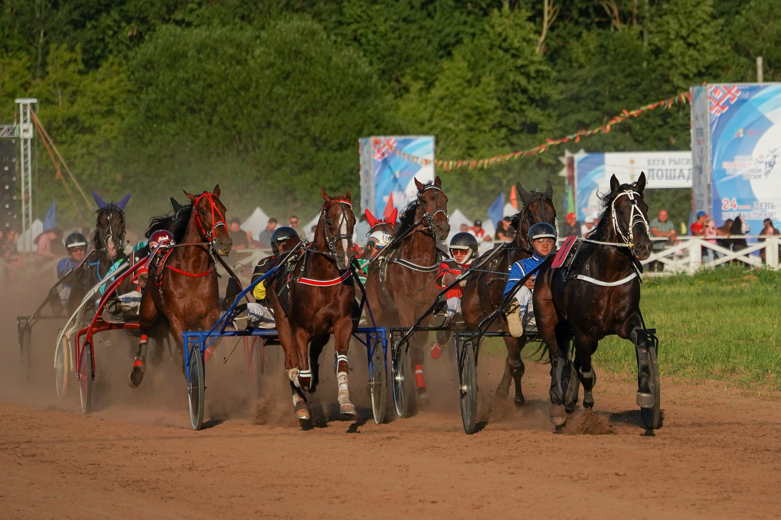 III конные бега на Кубок Главы Чувашии. Фотограф-анималист, портретный фотограф в Чебоксарах Мария Садыкова