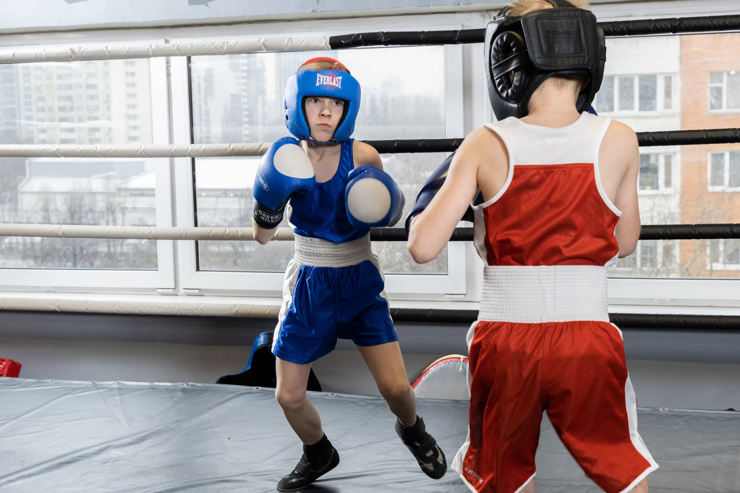 Бокс. Photomantis