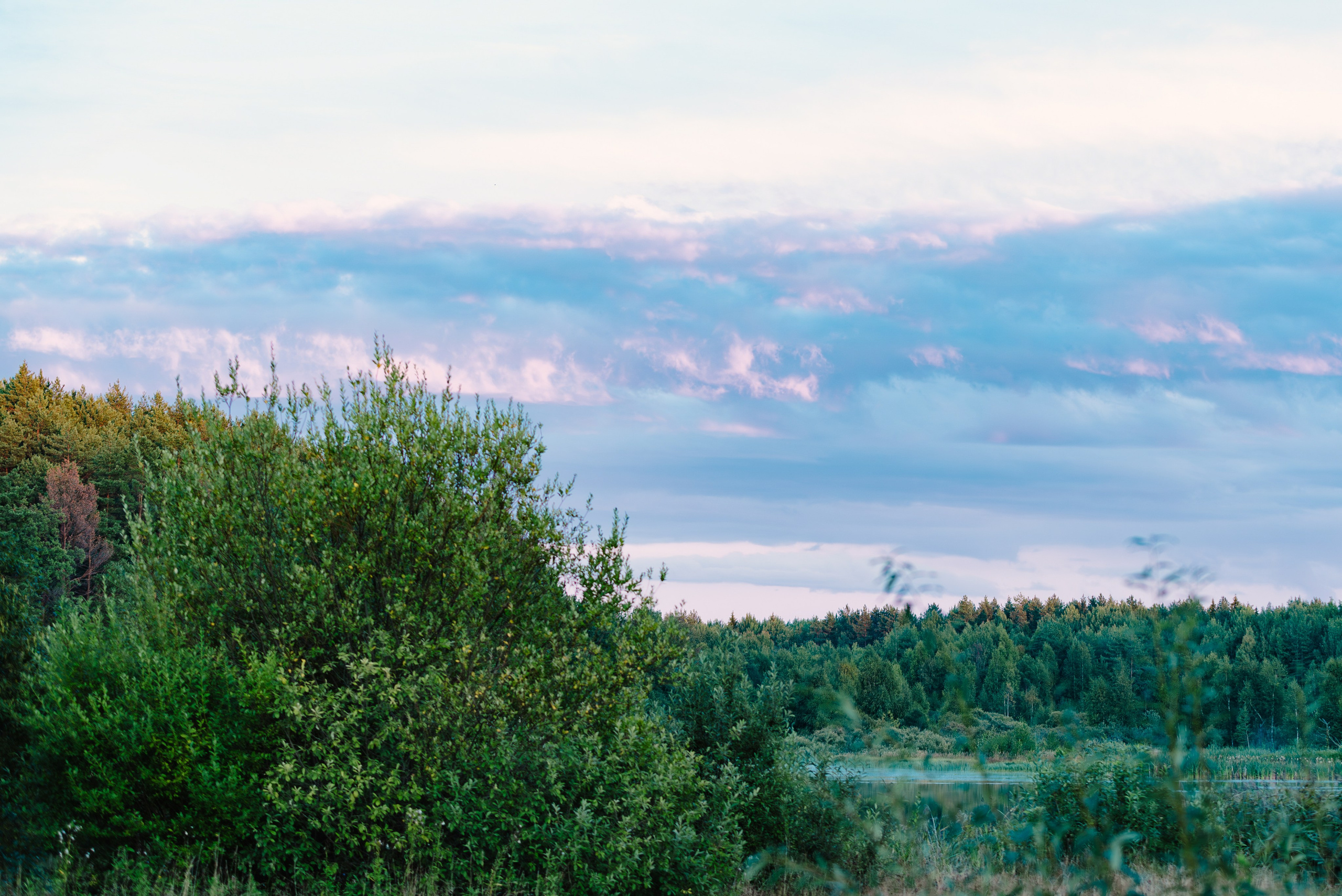 Лето. Фотограф в Ветлуге Сергей Белов (VETLUGA B.S.)