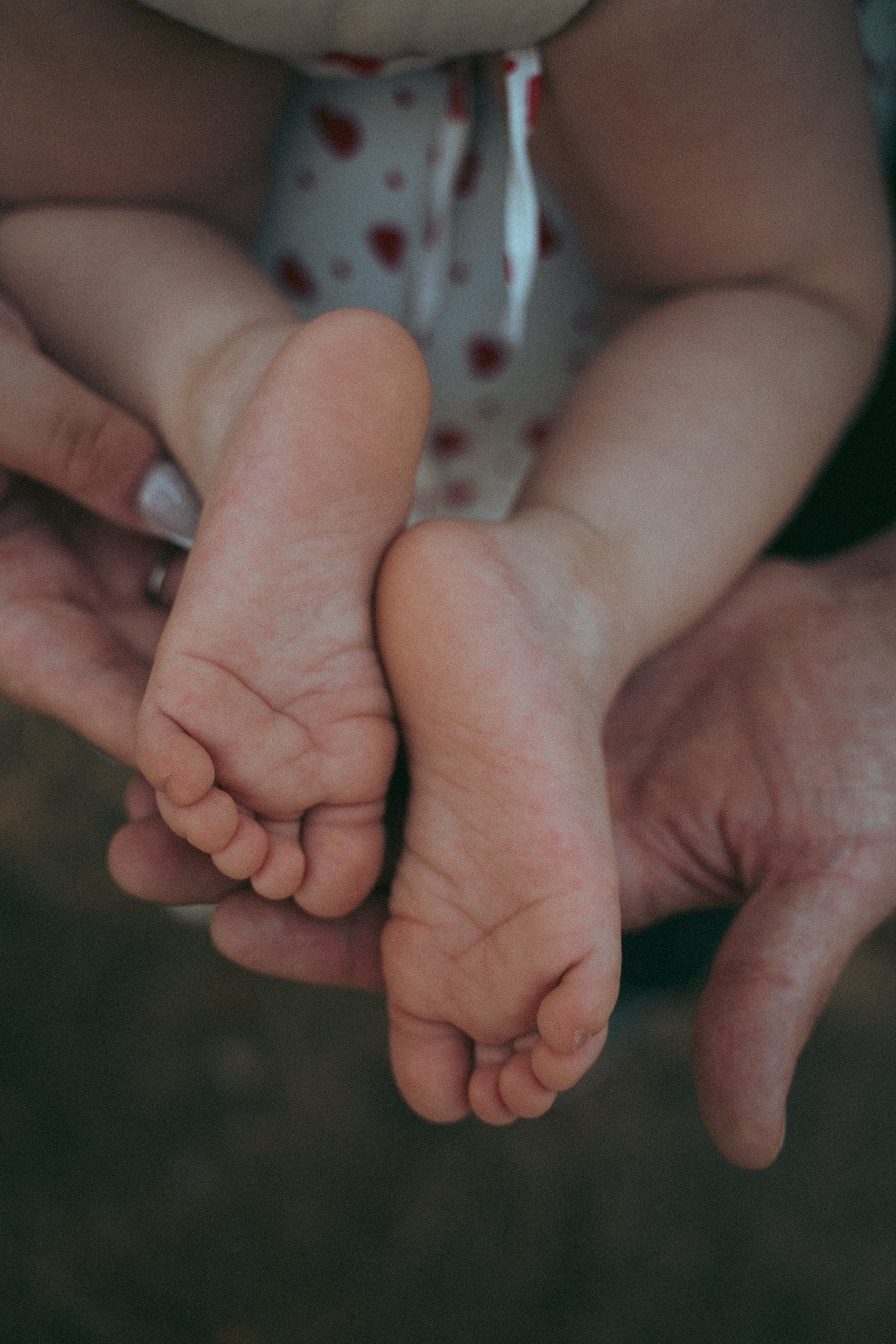 Дельфин парк. Фотограф Мария Зайчик