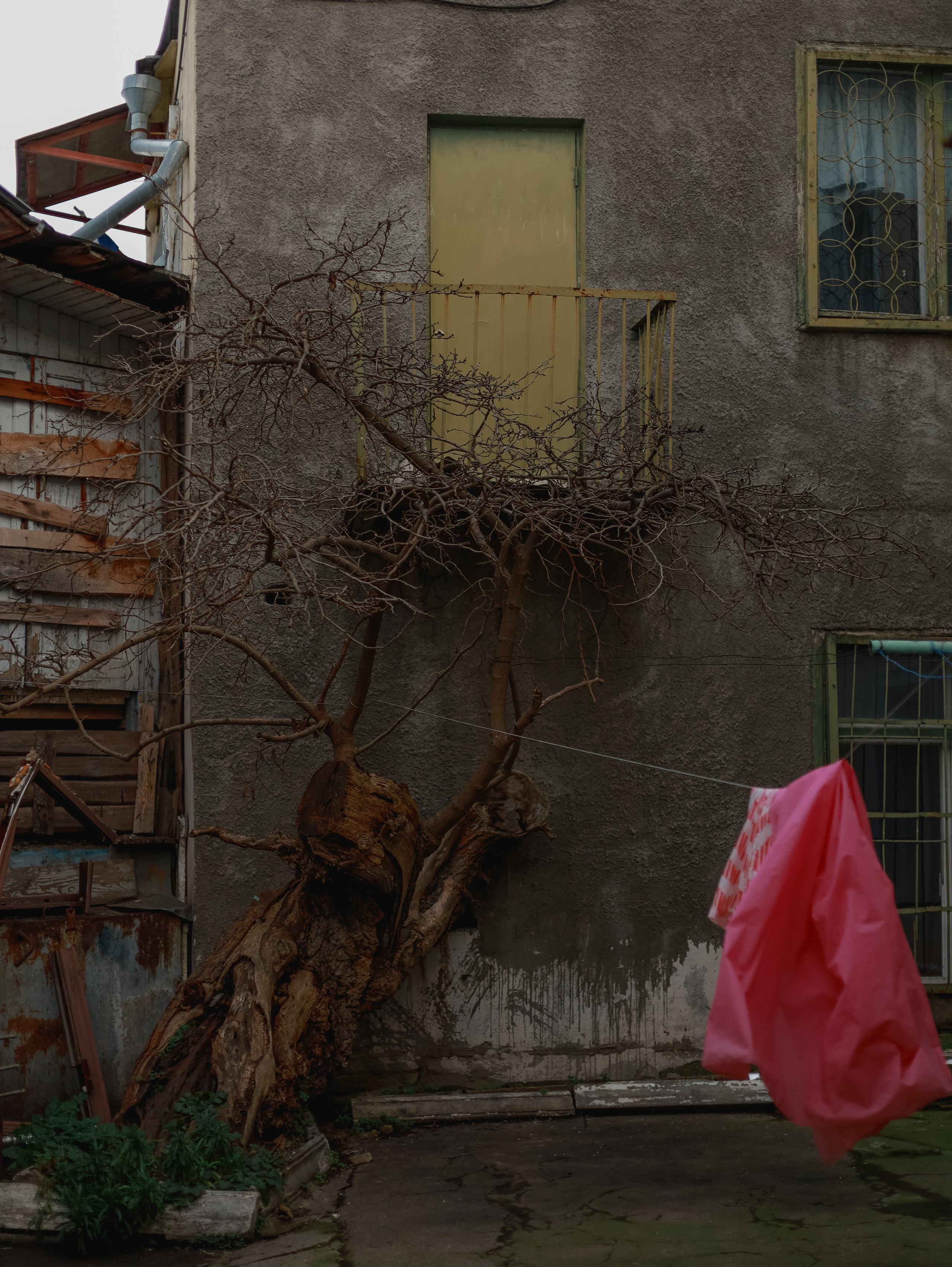 Природа &. Фотохудожник в СПб