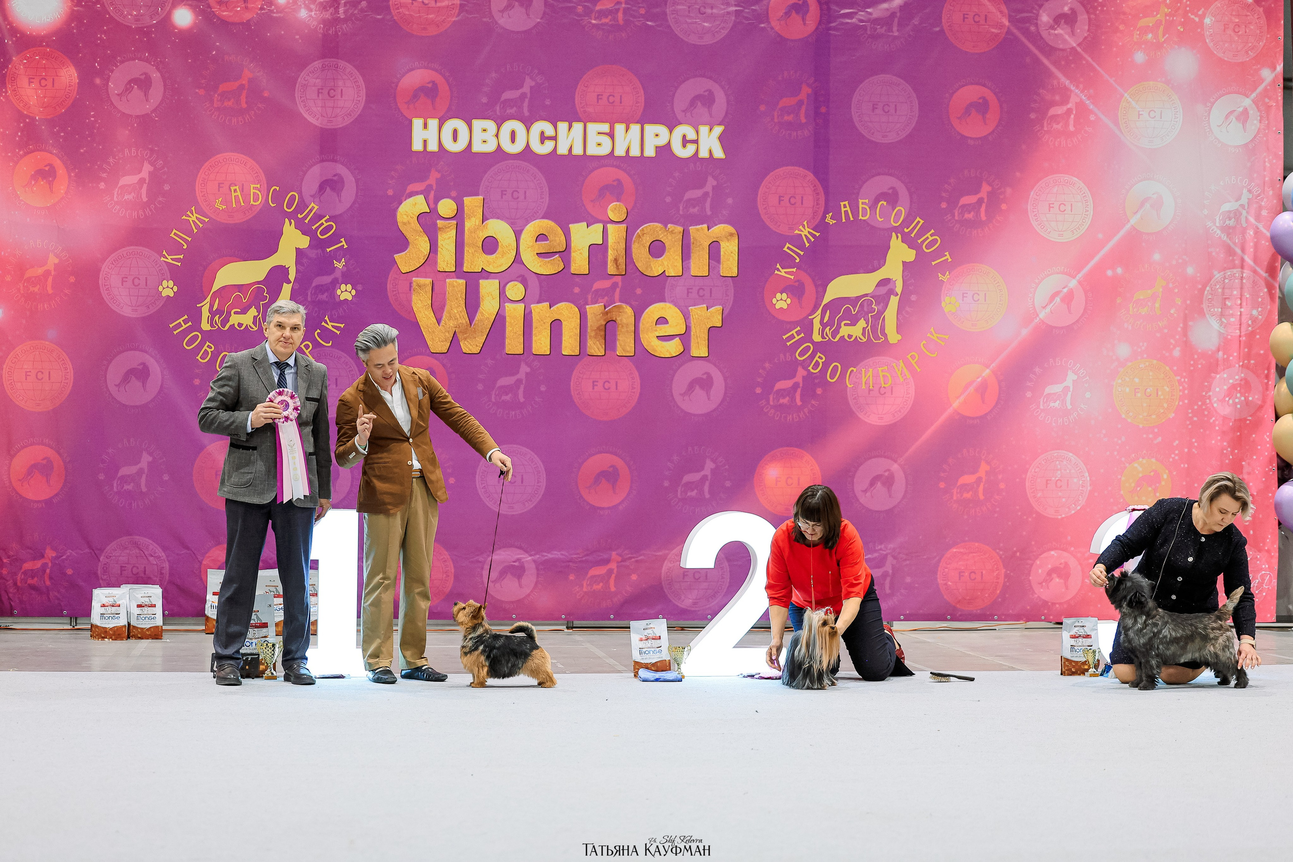 28-29.03.2026 Рейтинговая выставка в Новосибирске. Фотограф Анималист из Новосибирска Татьяна Кауфман