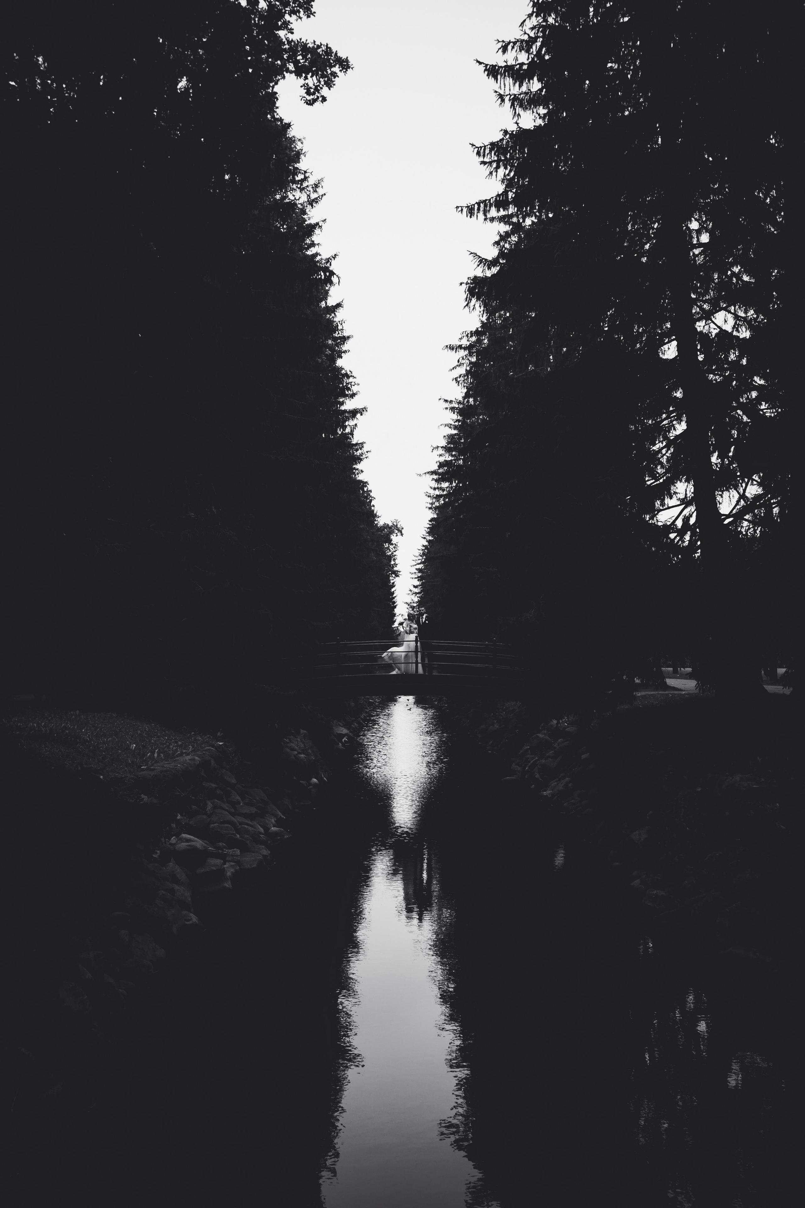 Портфолио. Фотограф в Санкт-Петербурге Александр Королев