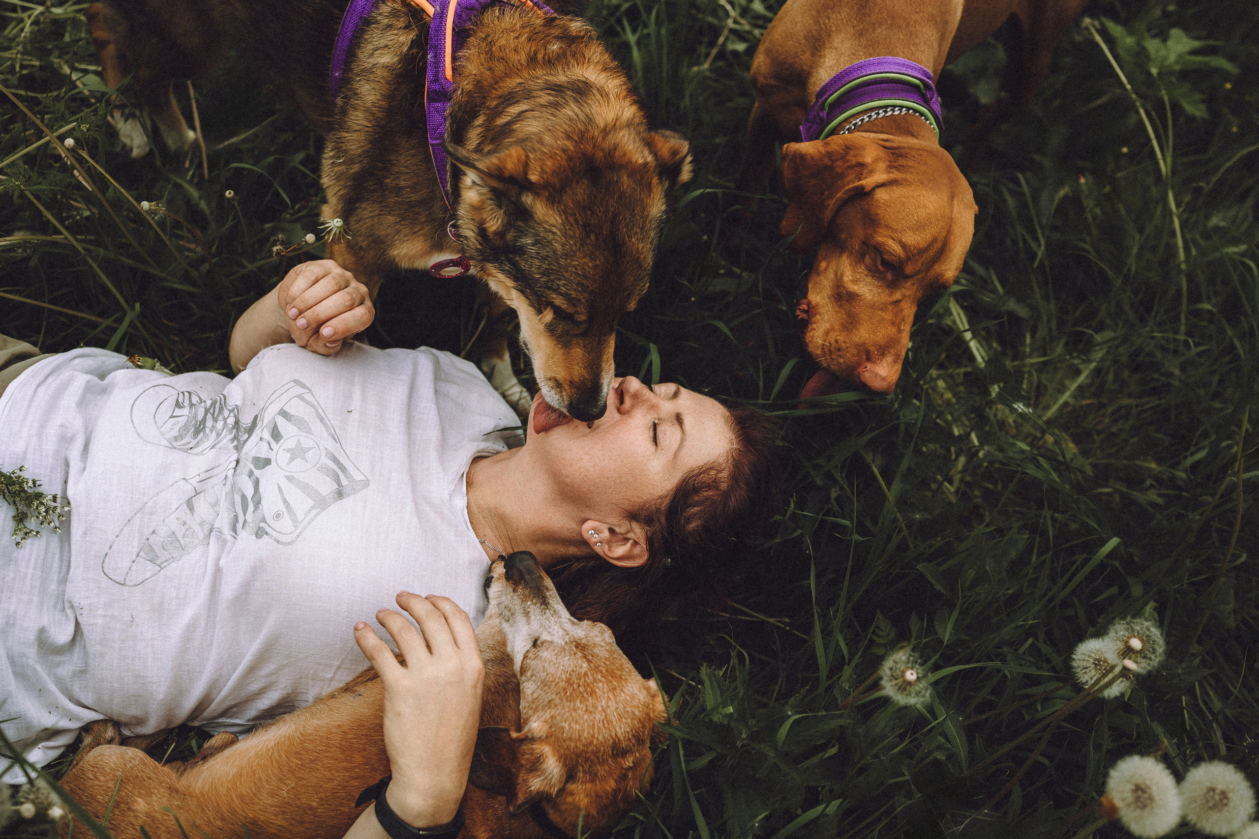 Груша, Данни, Фунтик и их семья