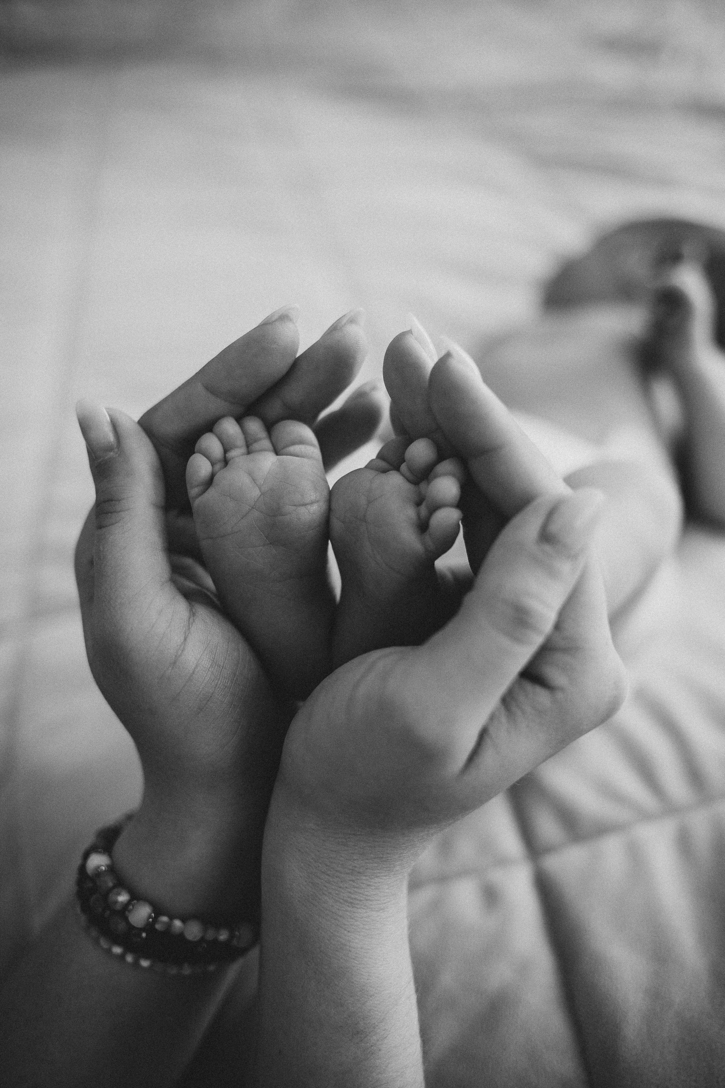 Паша/Катя/Алиса/Тимофей/Егор. Свадебный и семейный фотограф в Екатеринбурге