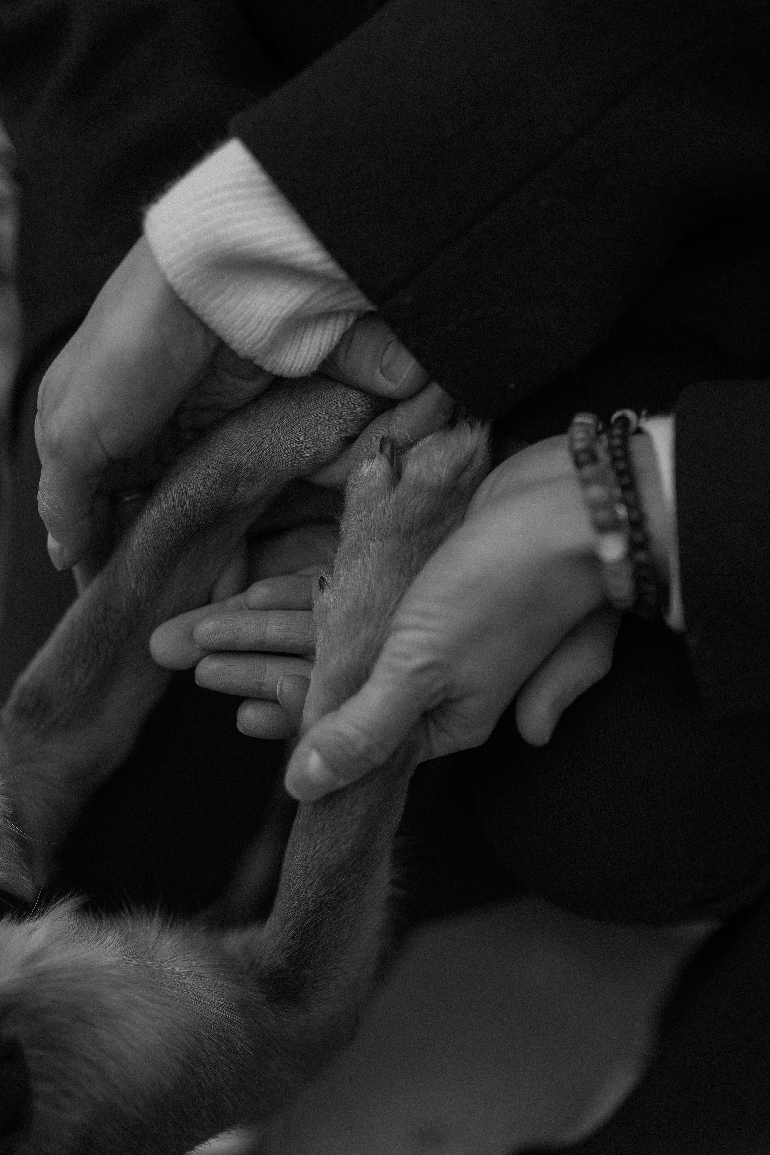 Лена и Юра. Лена Колягина Фотограф по любви