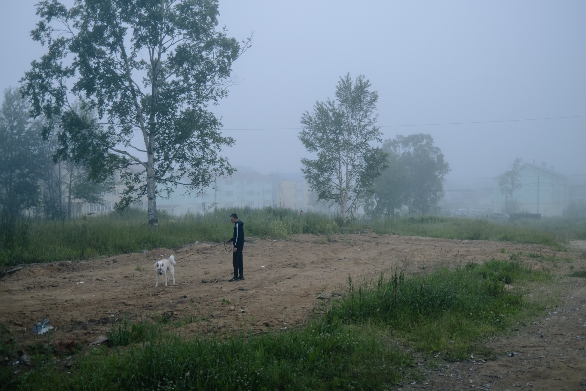 Foggy morning in Nogliki village.