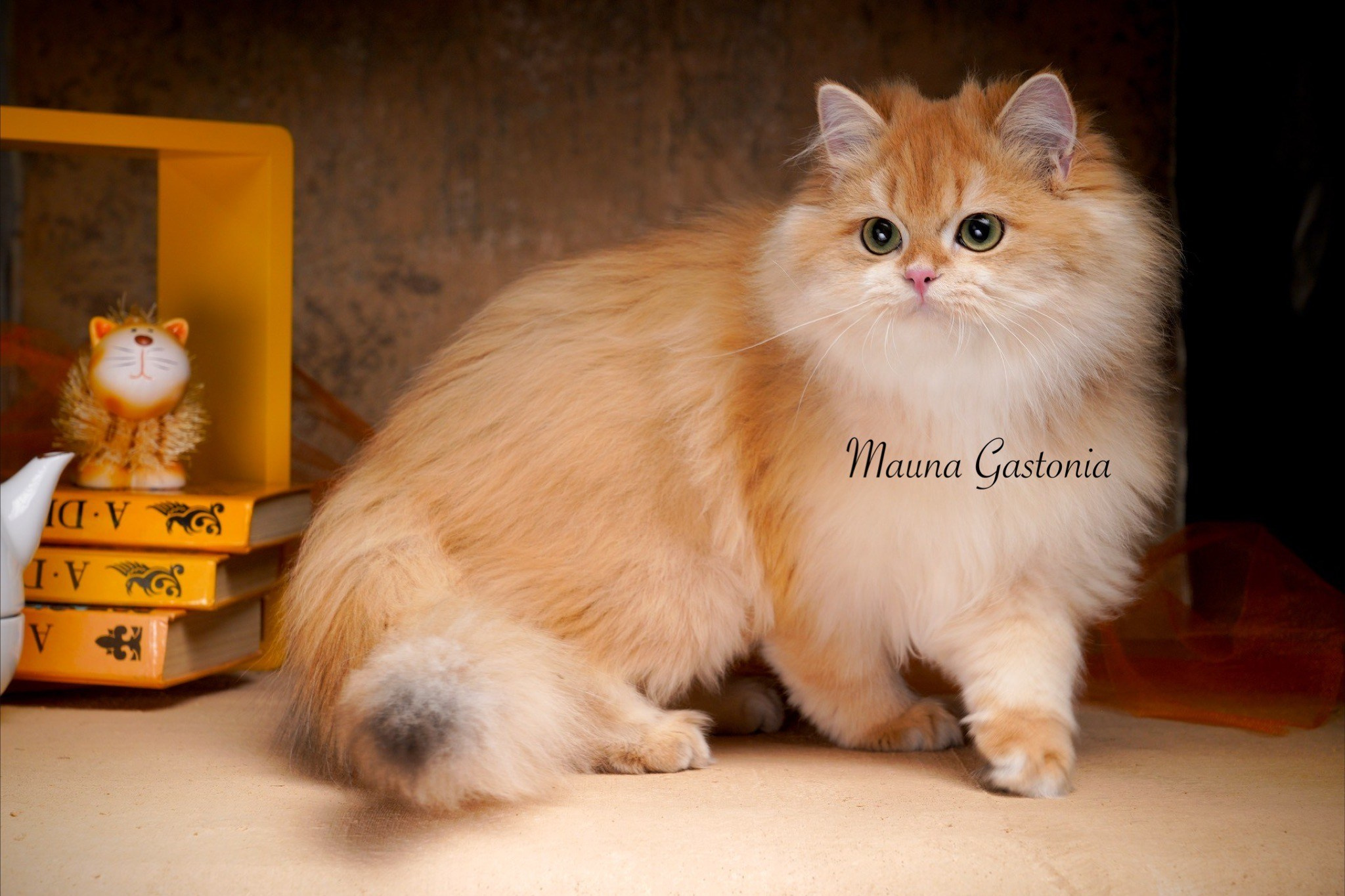 Germes. Mauna Gastonia