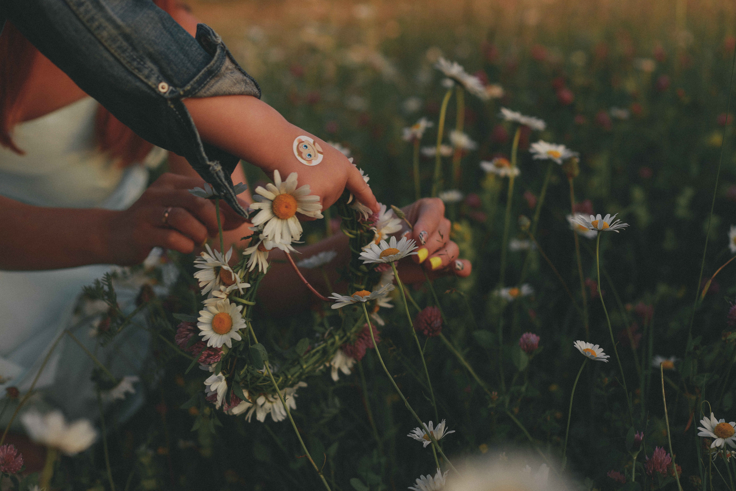 Согреты любовью и вечерним солнышком. Чудесная семья с открытой и чистой душой. Свадебный фотограф Мироманов Николай в Крыму