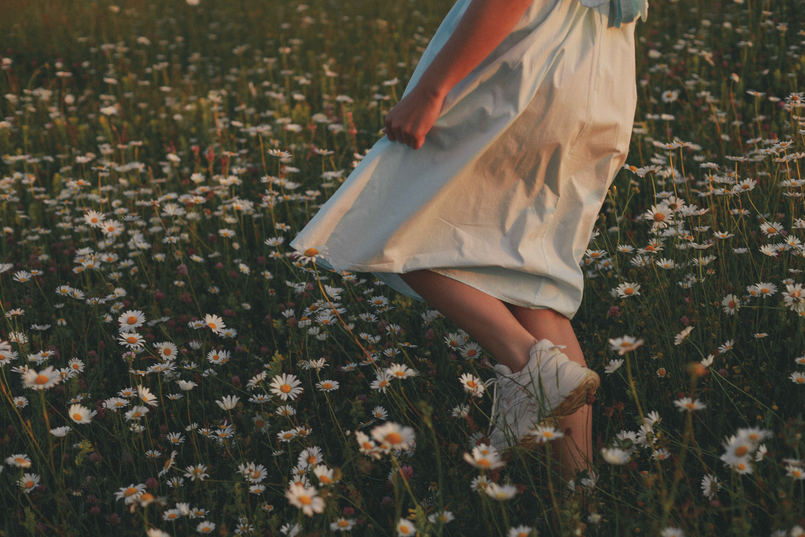 Согреты любовью и вечерним солнышком. Чудесная семья с открытой и чистой душой. Свадебный фотограф Мироманов Николай в Крыму