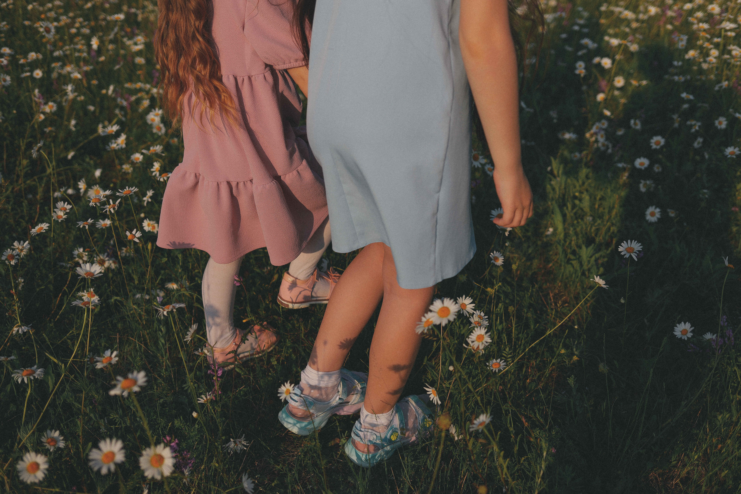 Сестрички. Свадебный фотограф Мироманов Николай в Крыму