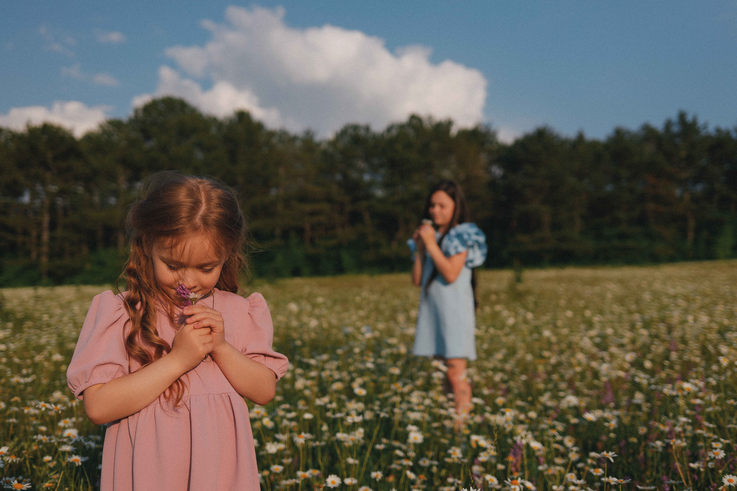 Сестрички. Свадебный фотограф Мироманов Николай в Крыму
