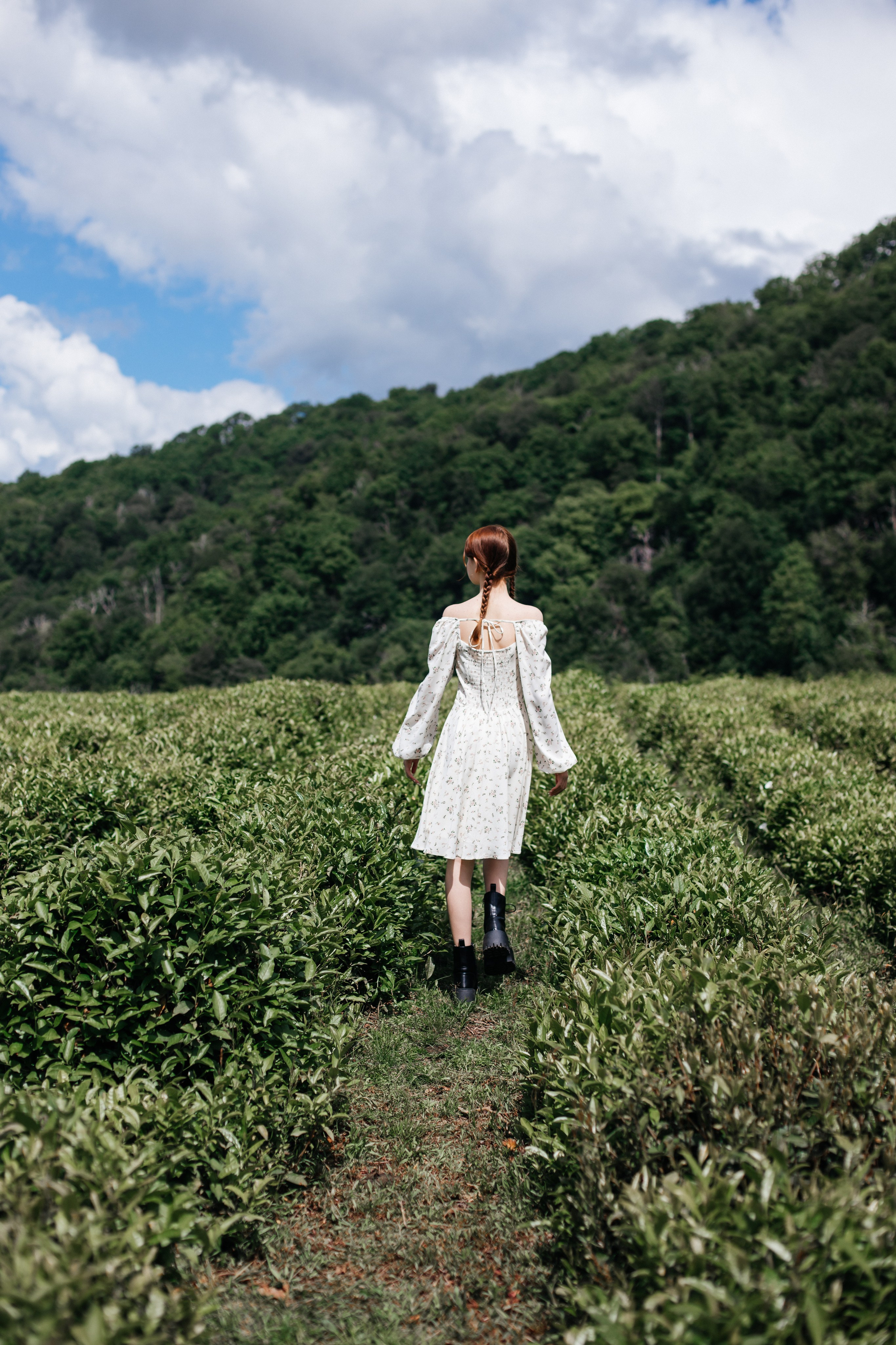Tea plantation. Efimova Model Agency