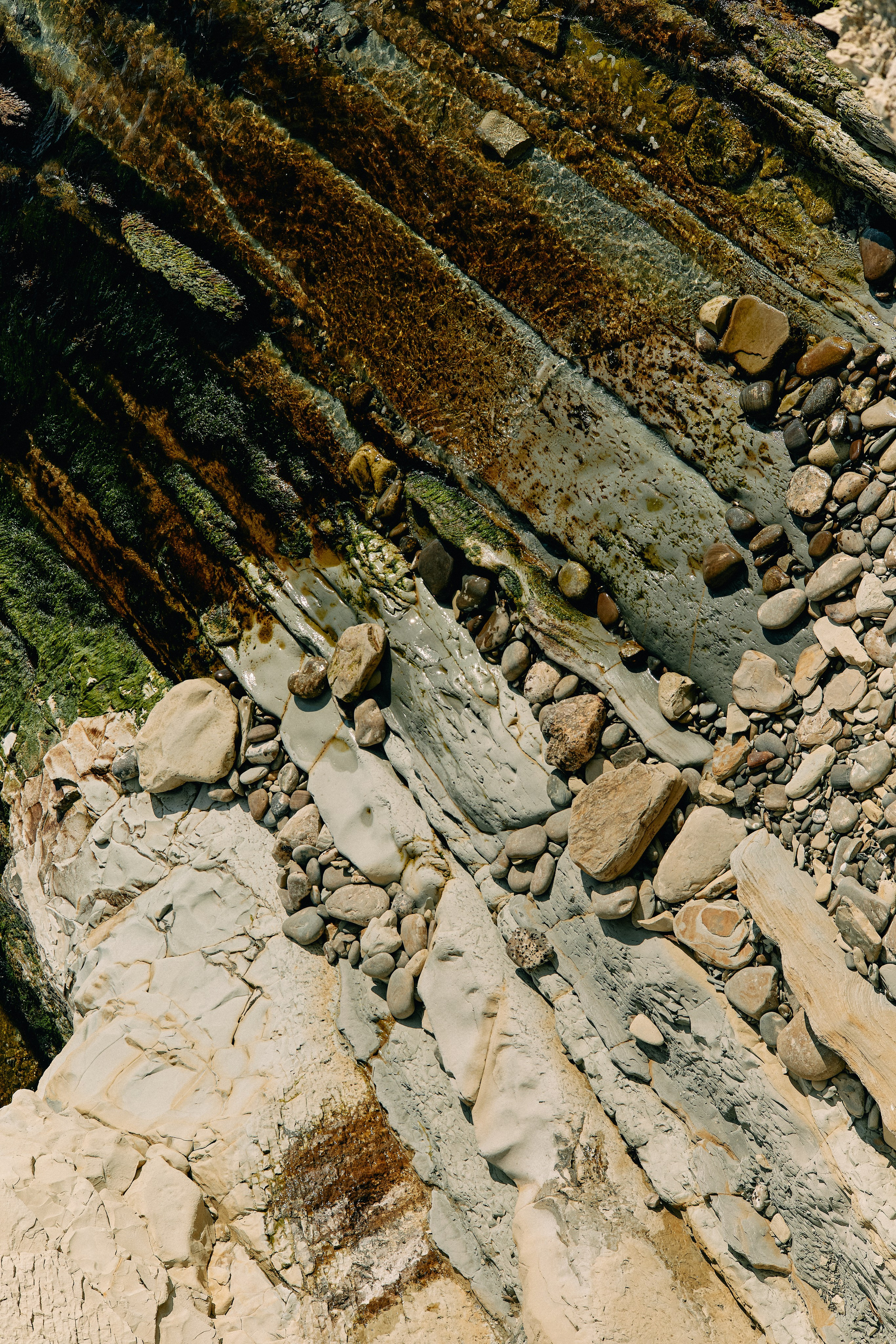 Юг России. Профессиональный Фотограф во Владимире, в Москве и в Суздале — Полина Романычева