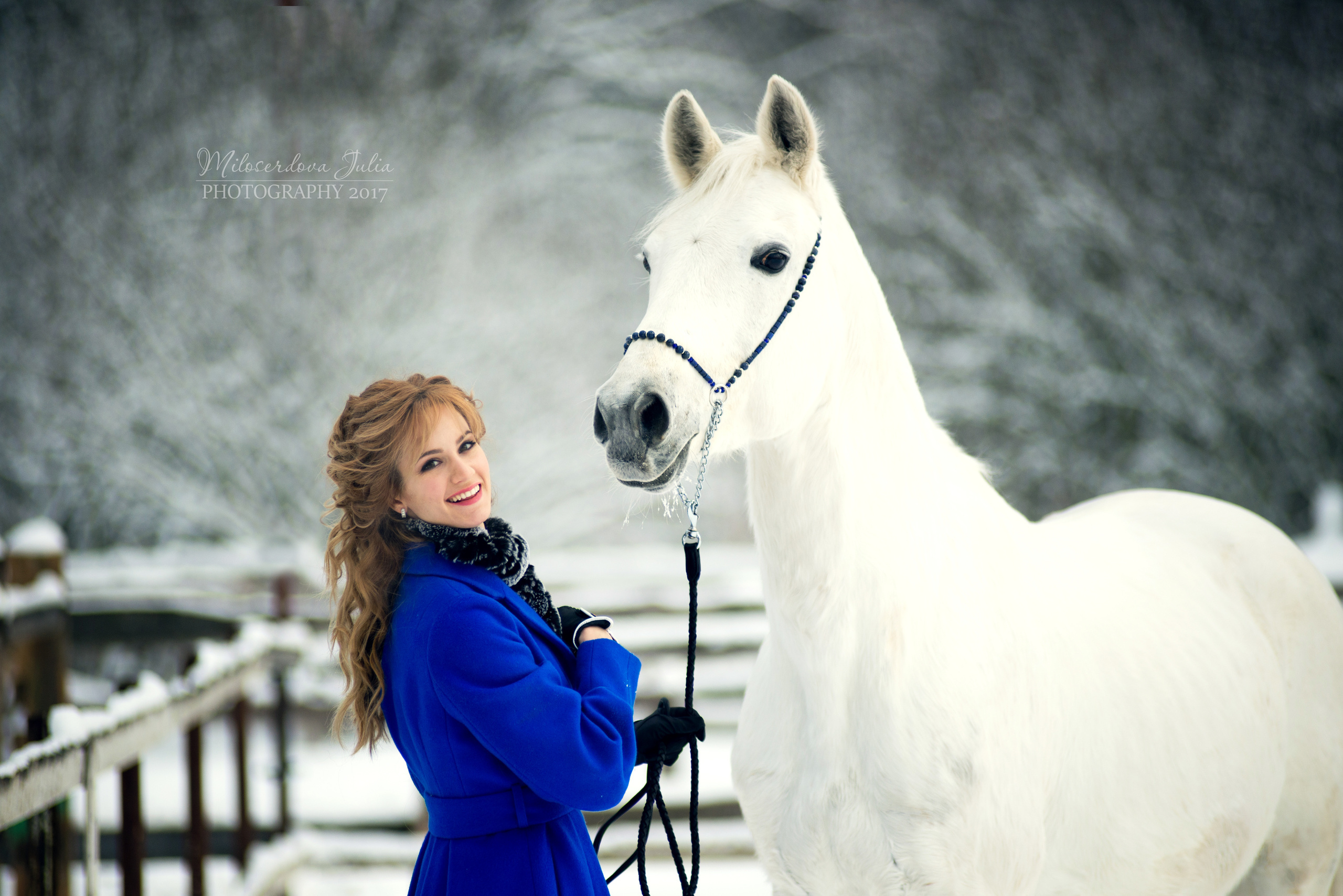 Фотосессии с лошадьми. Фотограф Юлия Милосердова