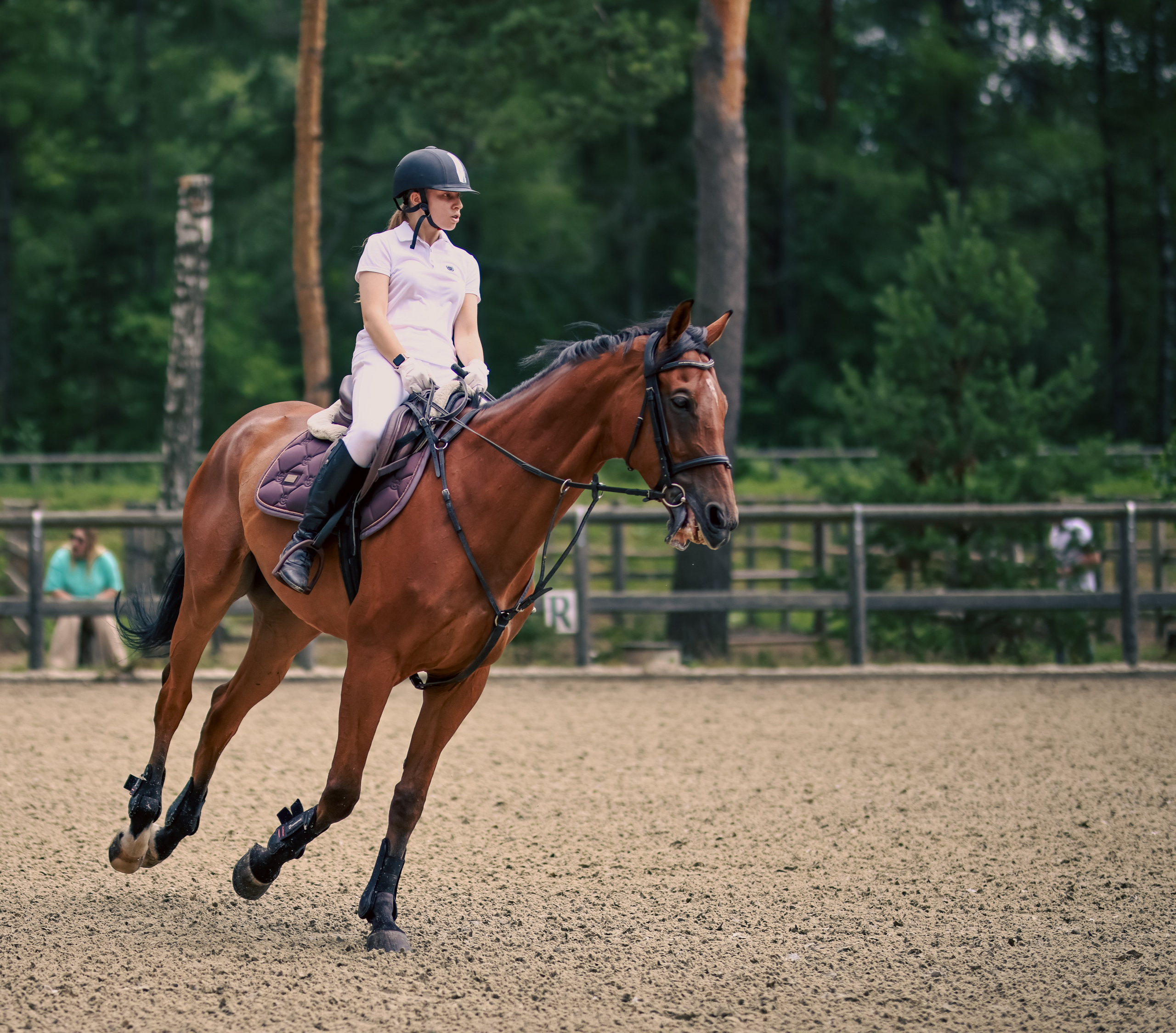Соревнования по конному спорту. Фотограф репортажей и стритфотосессий в Москве Людмила Смирнова