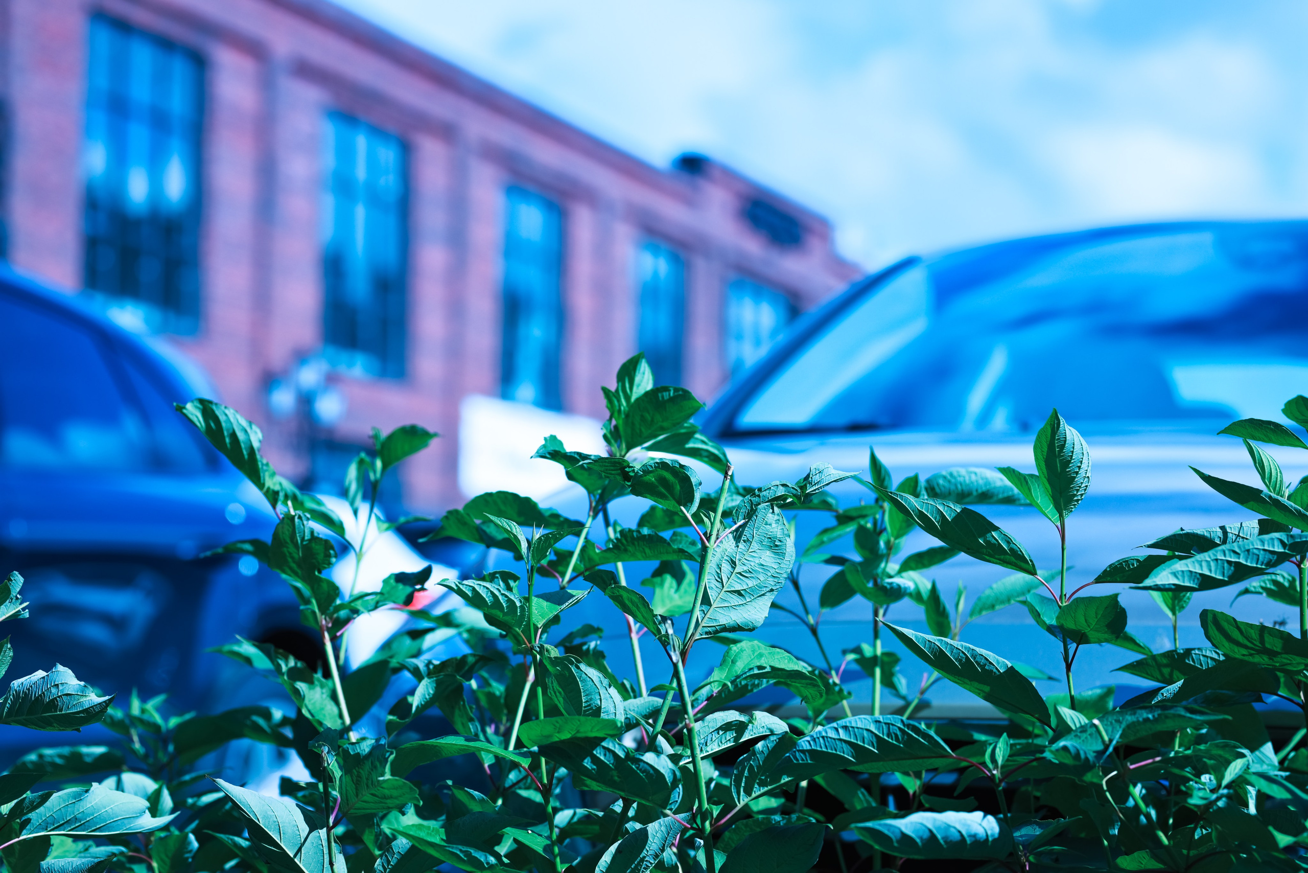 Прогулка по Истре. Фотограф репортажей и стритфотосессий в Москве Людмила Смирнова