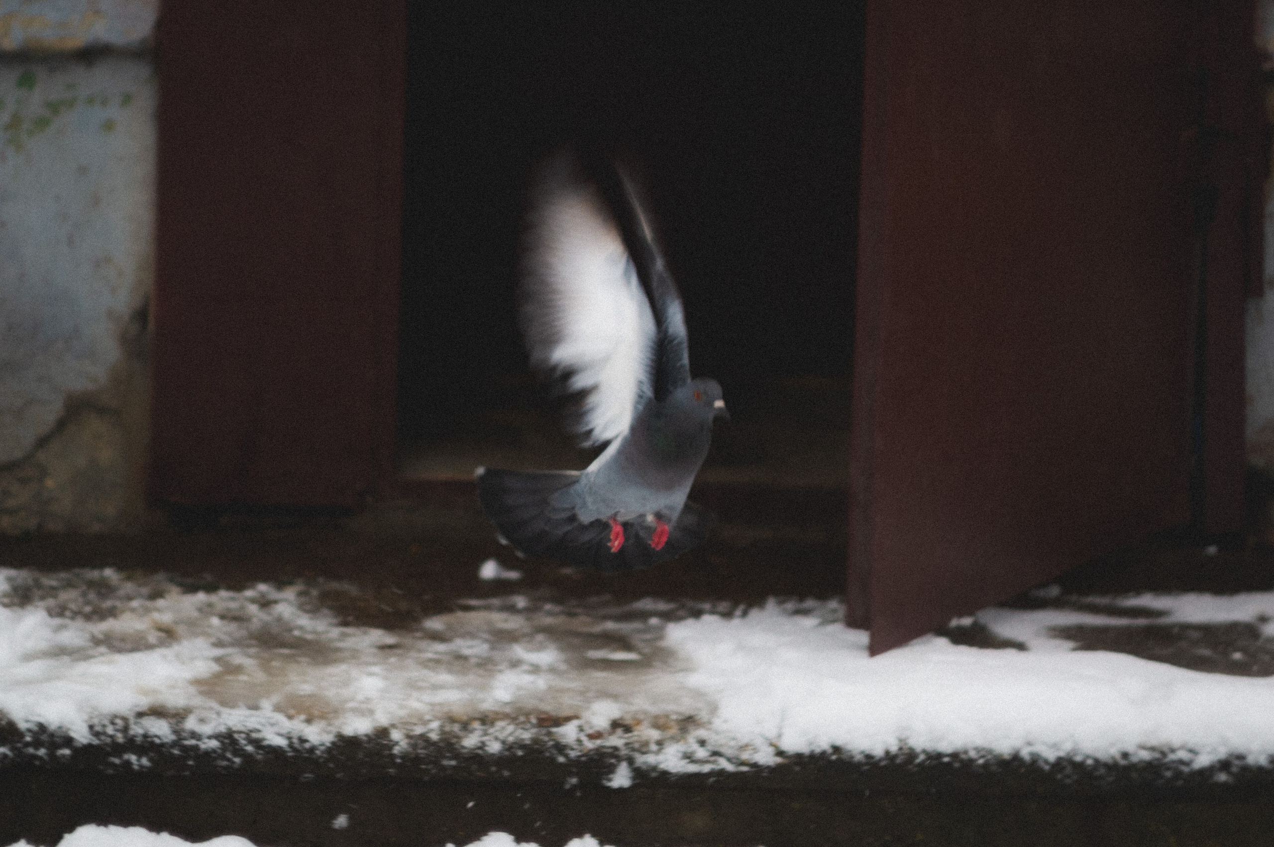 «В заснеженном омуте» Фотоэссе о заводской глубинке в холодное время. Den Mirov — Фотограф, Музыкант