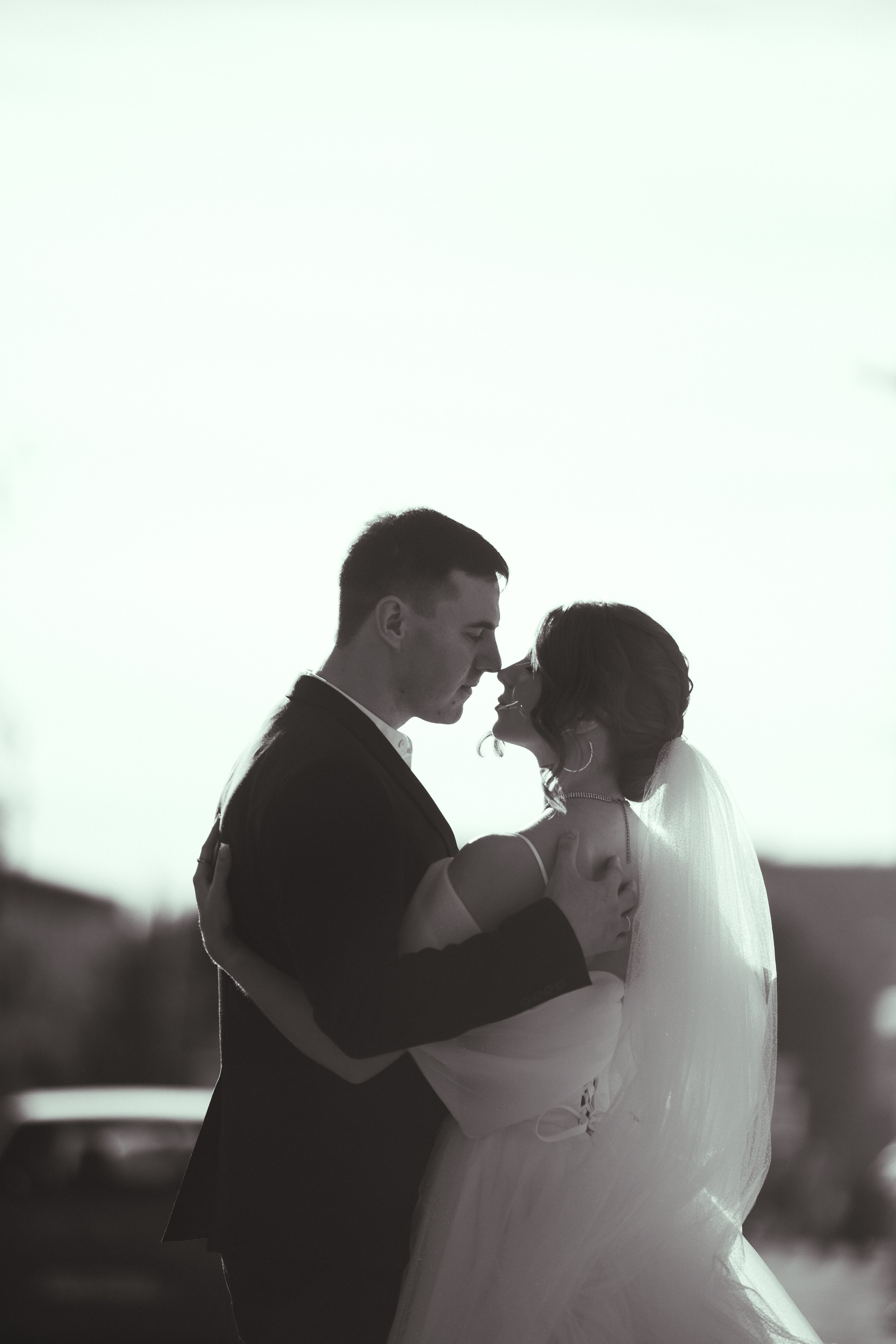 жених и невеста силуэты