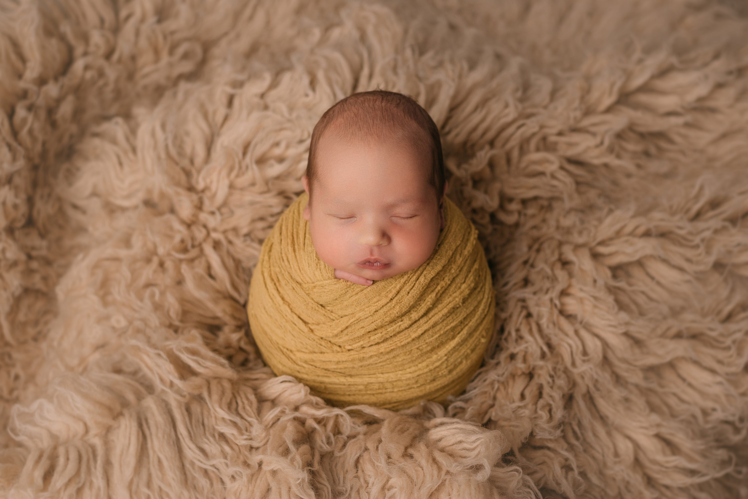 Лев. Фотограф новорожденных Белгород