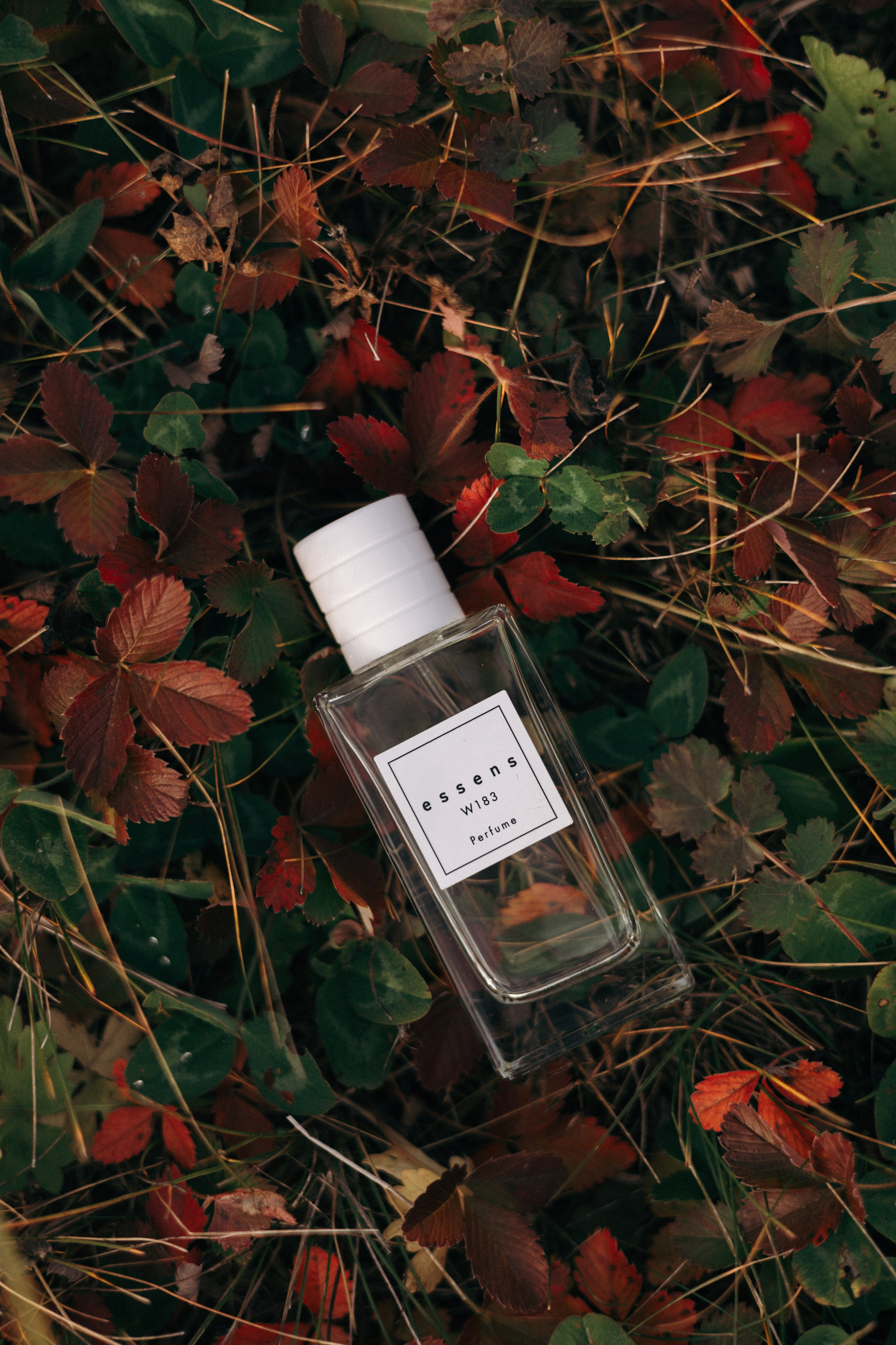 Кейс аромастилист. Ваш фотограф