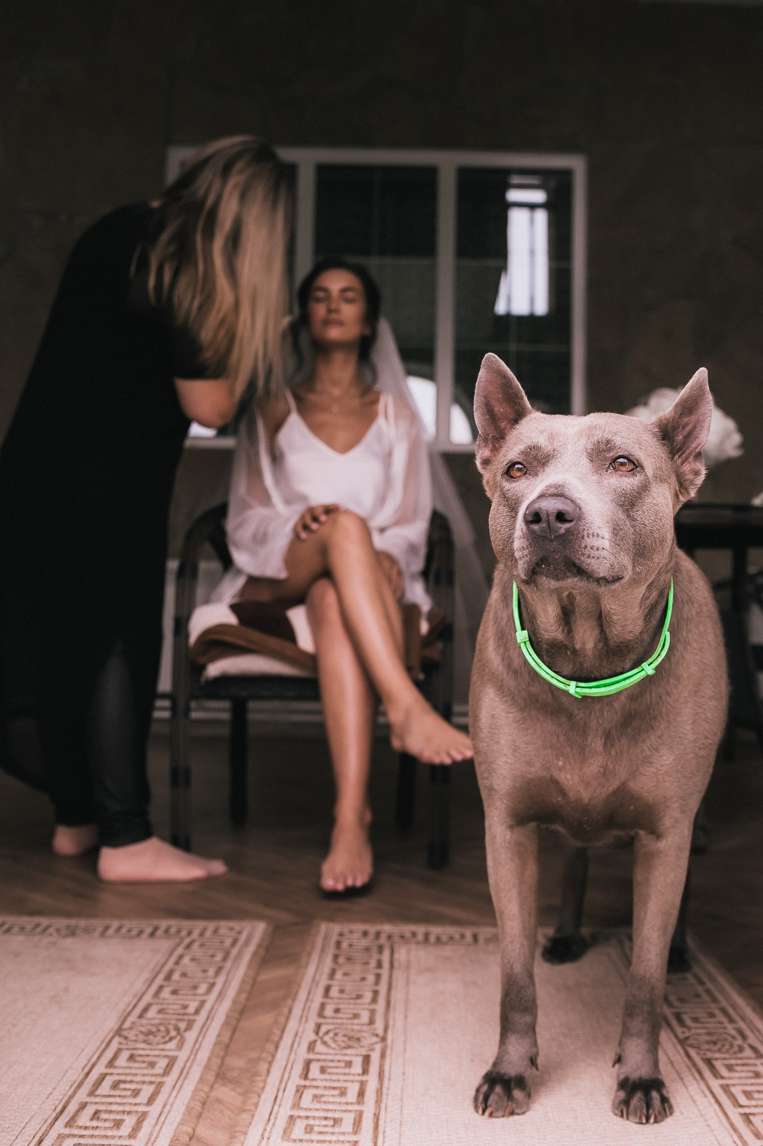 Александр и Екатерина. Фотограф во Владивостоке Настя Косач