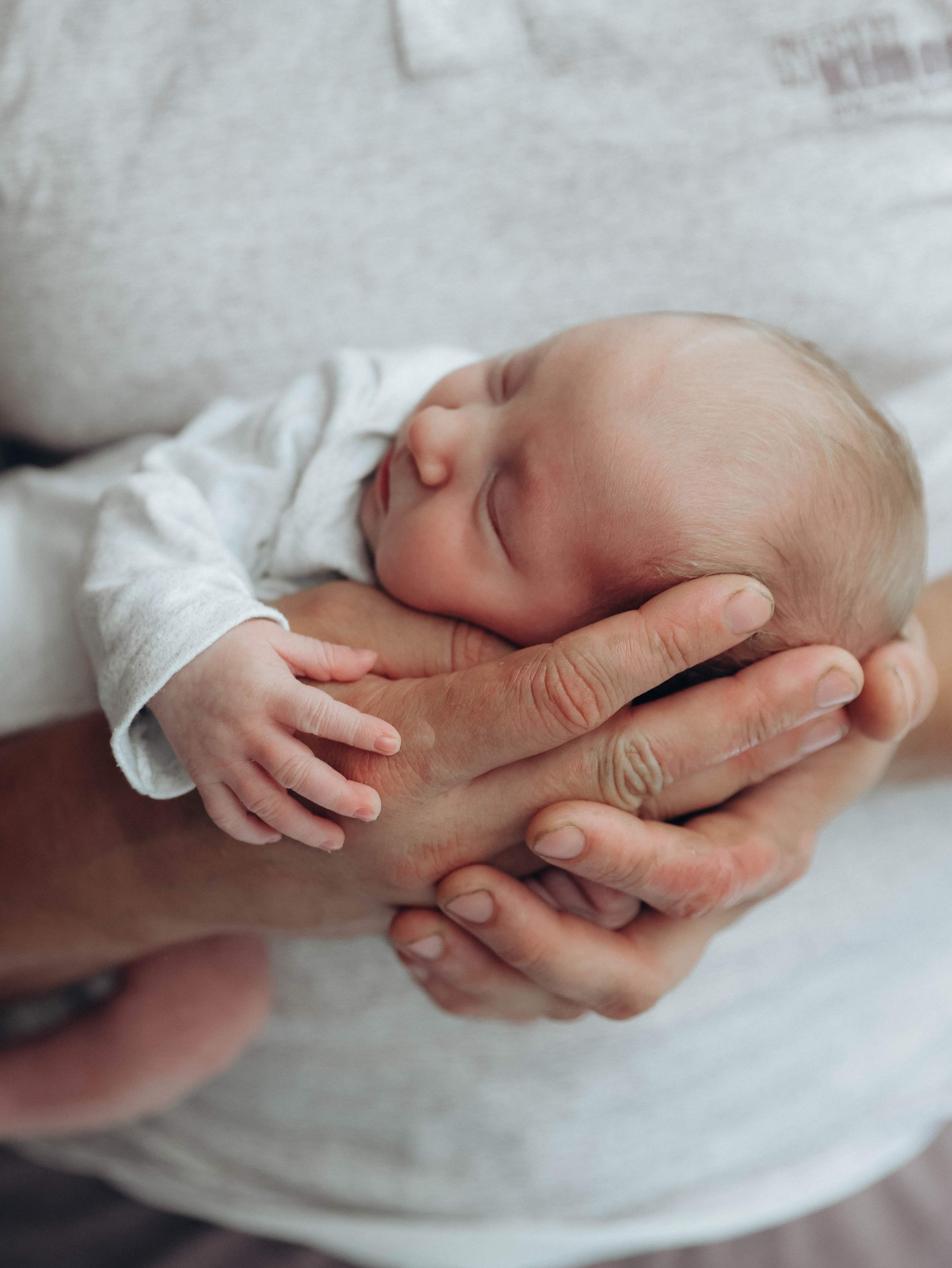 Любовь и котики. Мультифотограф Динара Ахмедзянова