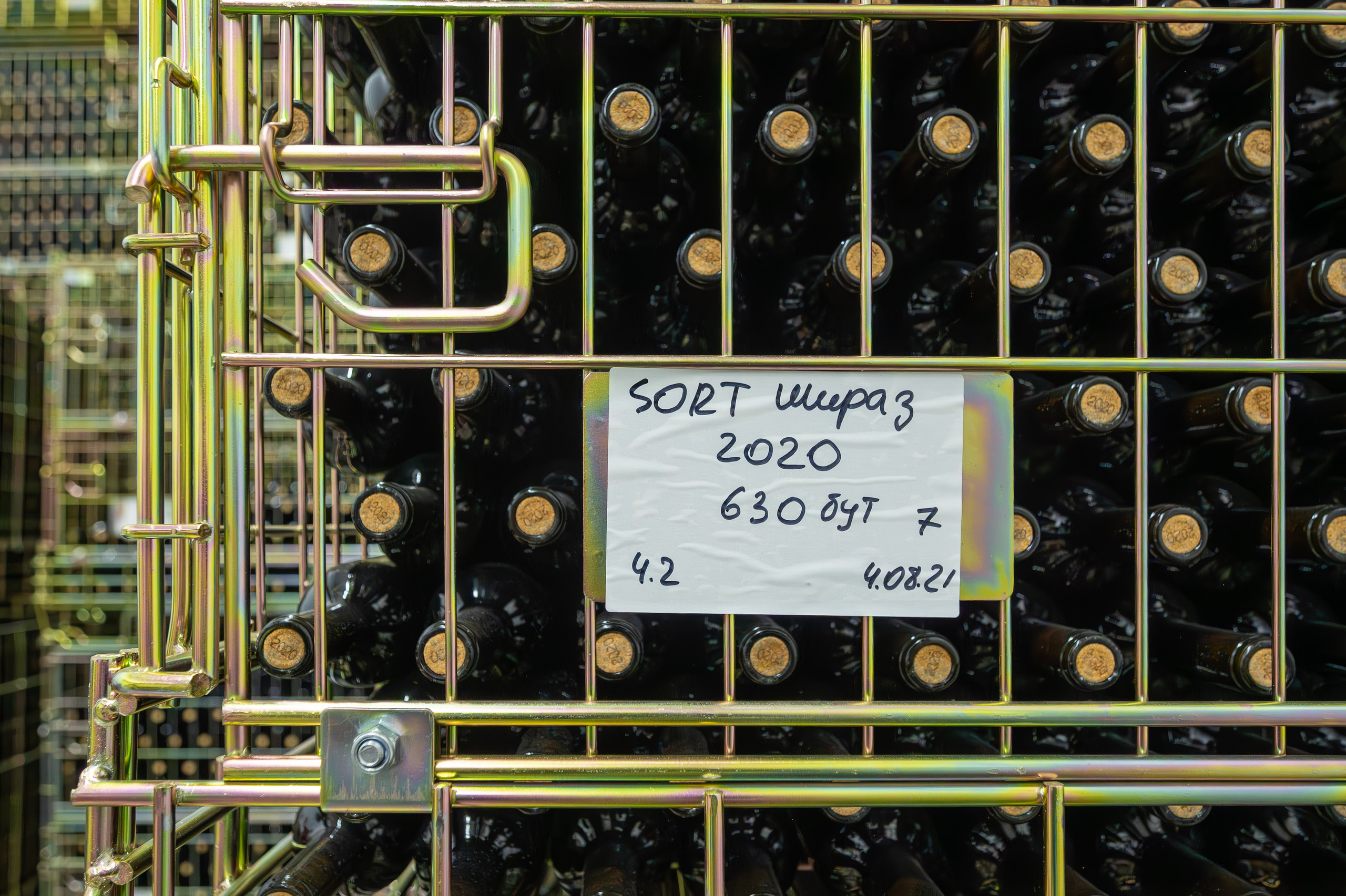 Литературная мастерская с Ольгой Шутовой в «Винотеррии». Репортажный фотограф в Красной Поляне и Сочи Павлюченко Екатерина