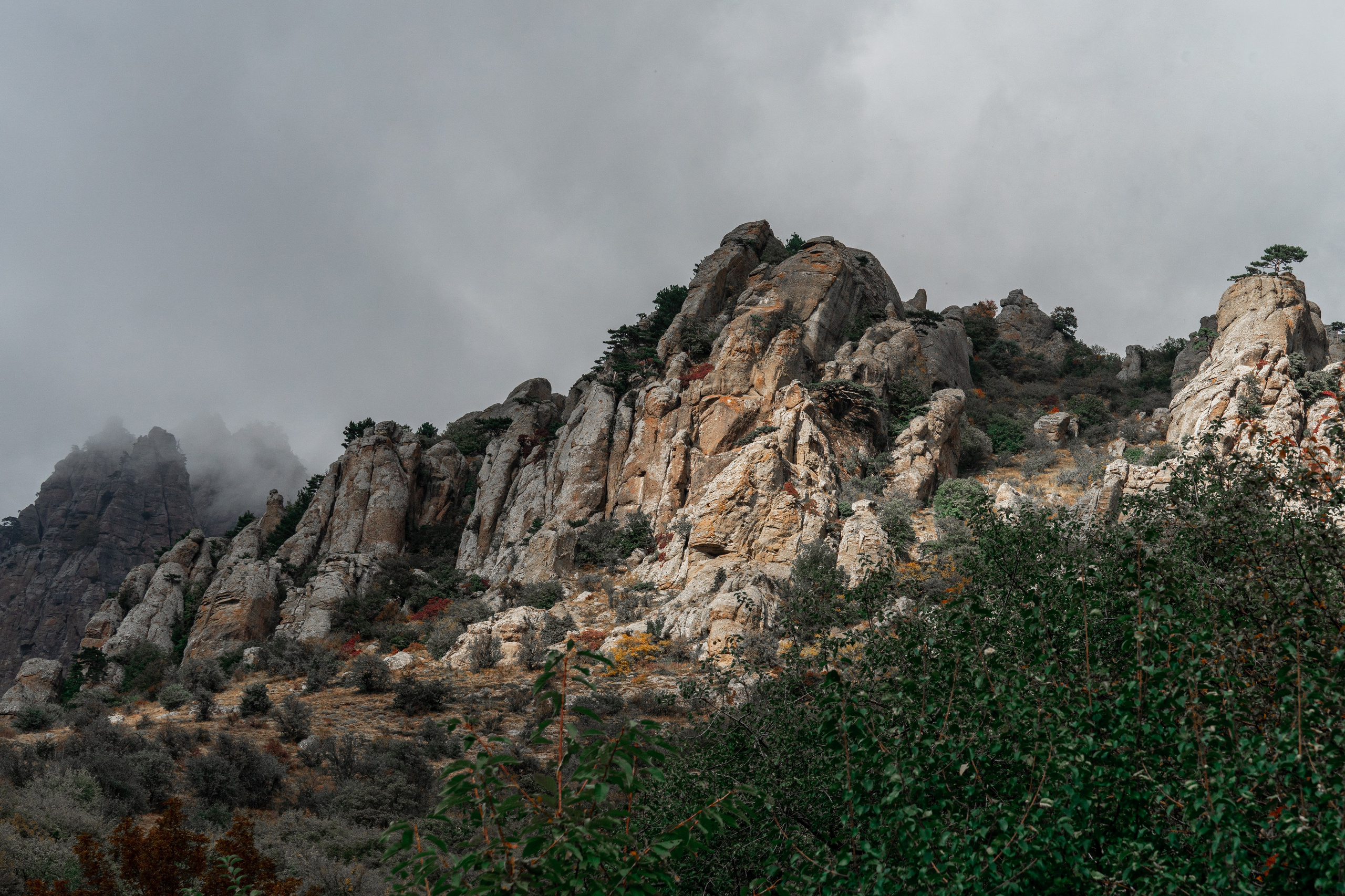 Путешествия и пейзаж. Репортажный фотограф в Красной Поляне и Сочи Павлюченко Екатерина