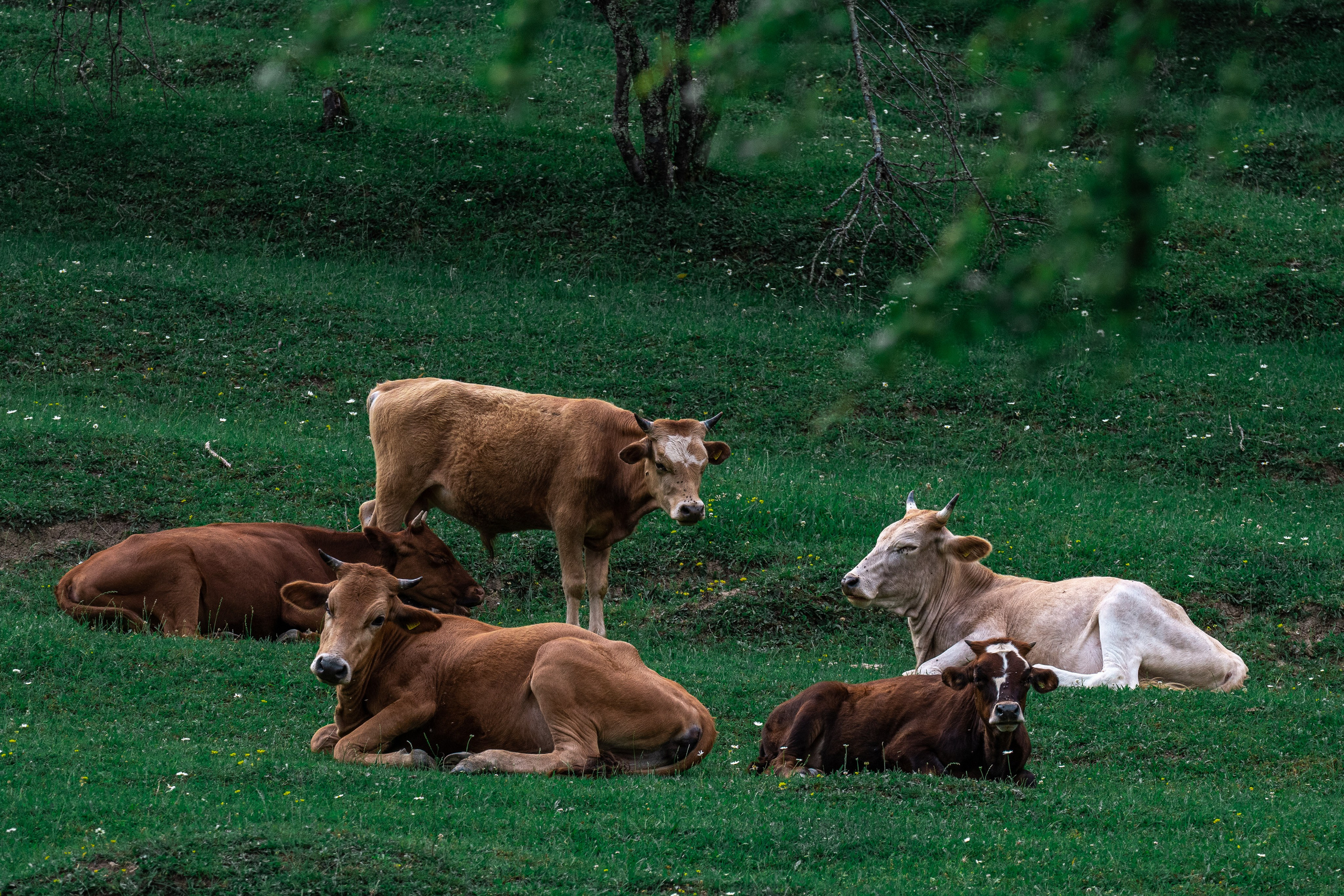Путешествия и пейзаж. Репортажный фотограф в Красной Поляне и Сочи Павлюченко Екатерина