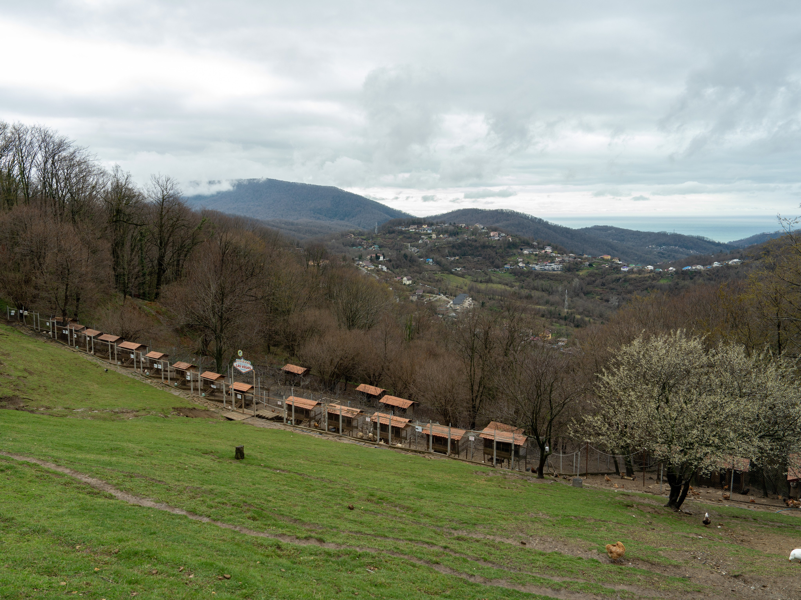 MICE мероприятие на ферме Экзархо. Репортажный фотограф в Красной Поляне и Сочи Павлюченко Екатерина