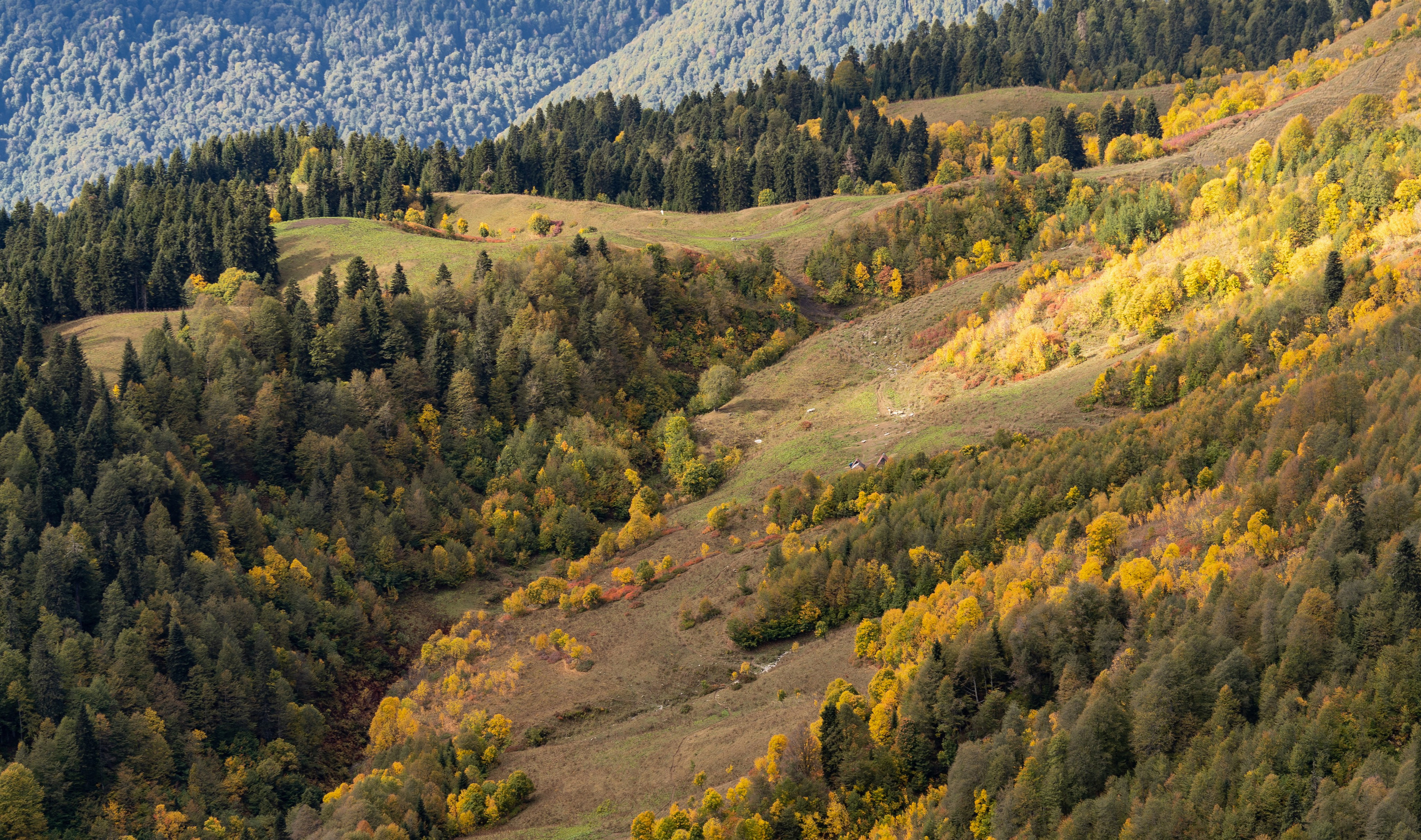 Трейловый бег «Альпиндустрия. Три курорта''. Репортажный фотограф в Красной Поляне и Сочи Павлюченко Екатерина