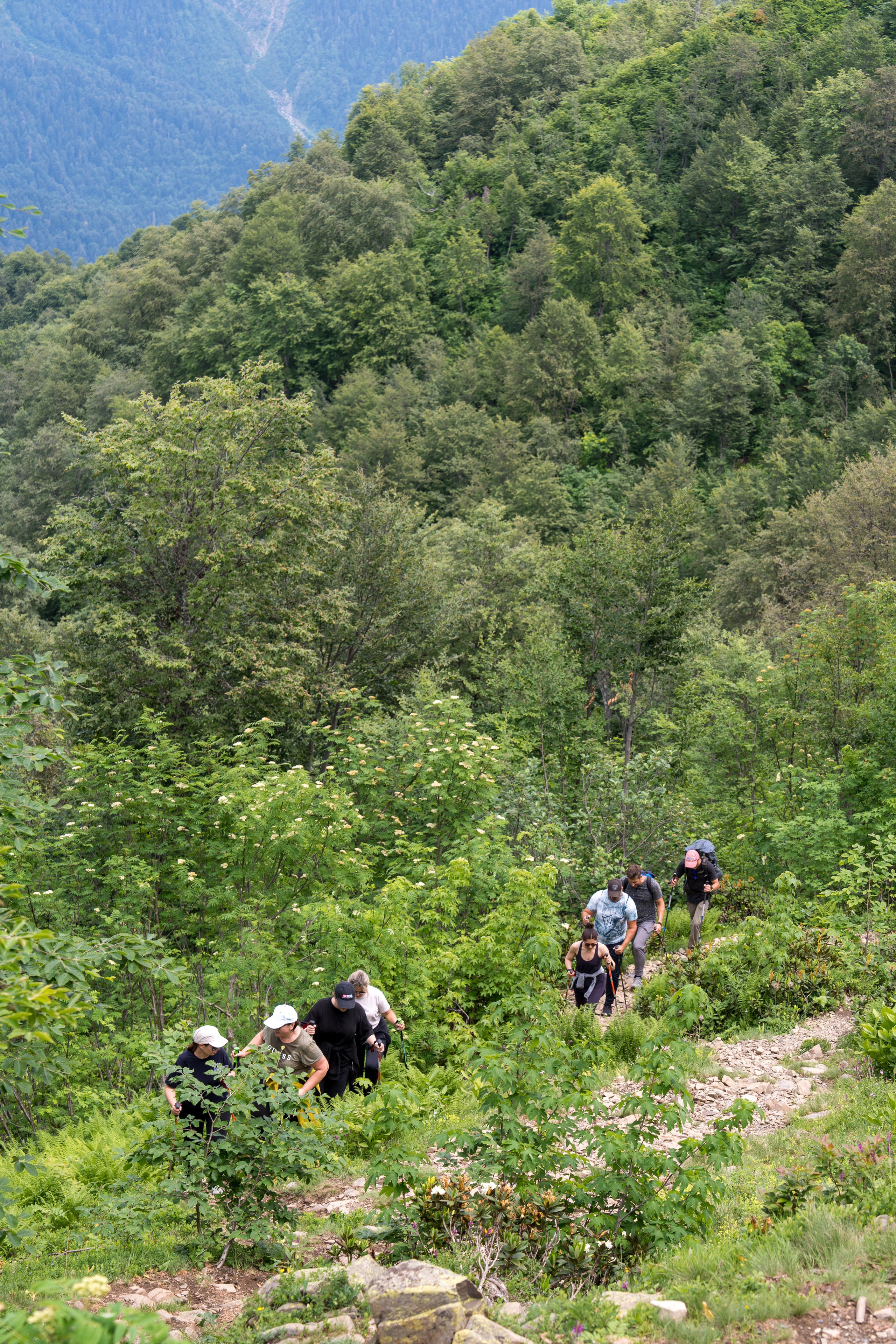 MICE мероприятие для компании «Доставка морем»: хайкинг к Ачипсинским водопадам. Репортажный фотограф в Красной Поляне и Сочи Павлюченко Екатерина