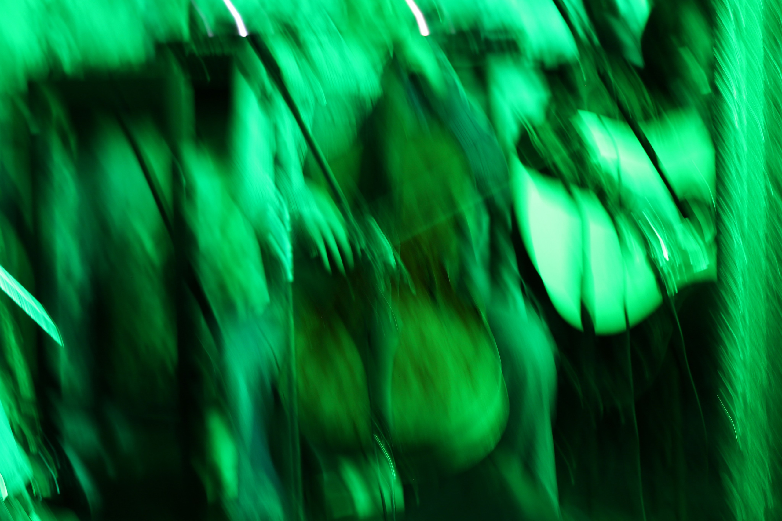 Музыкально-поэтический джем в Лахесисе. Фотограф Антонина Гудкова