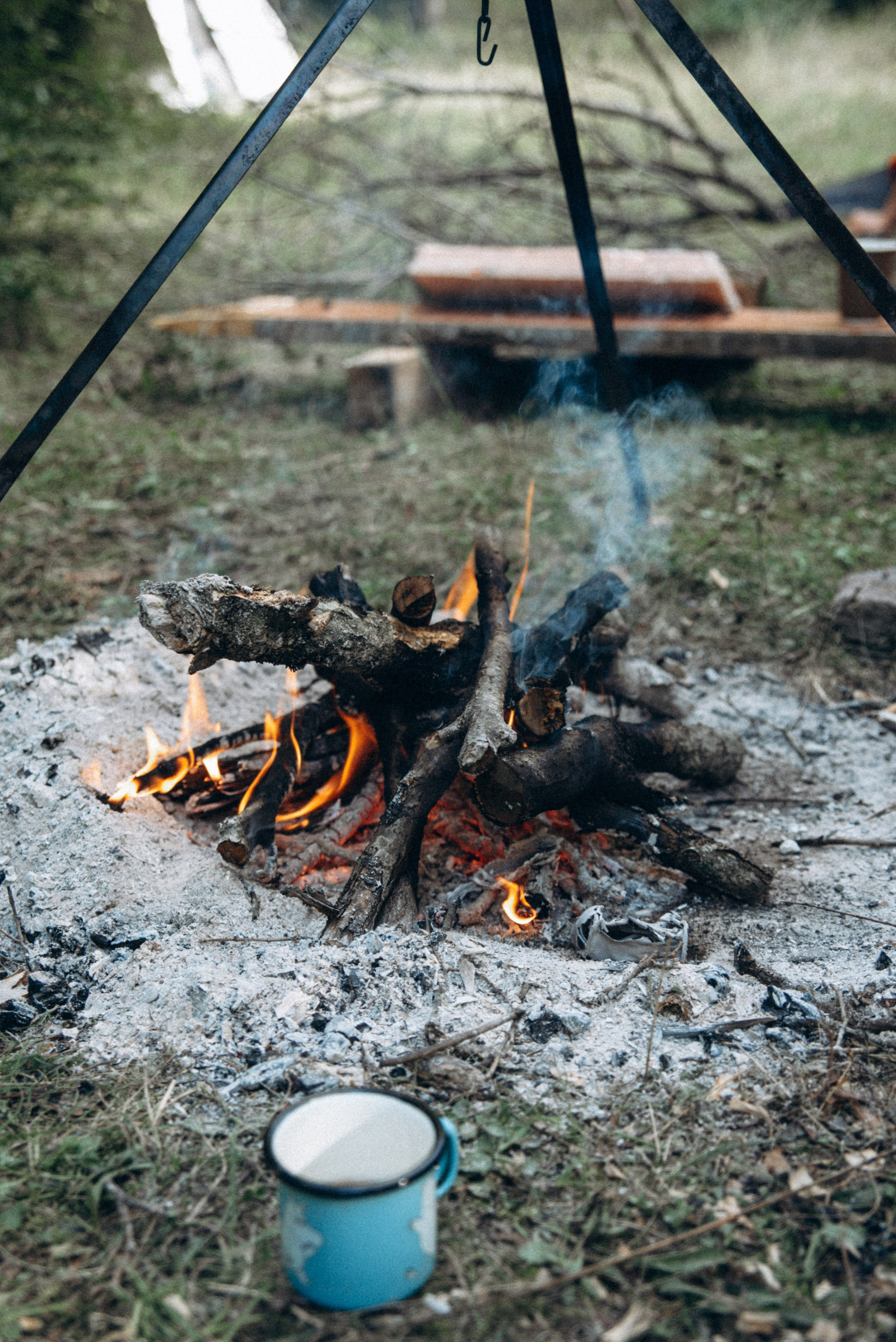 Harmoyfest 2023 Georgia 🇬🇪. Anita_photo